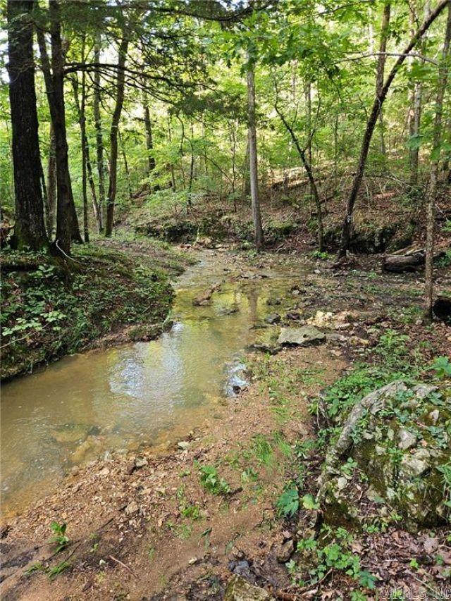 10974 Ricks Drive Harrison, AR 72601