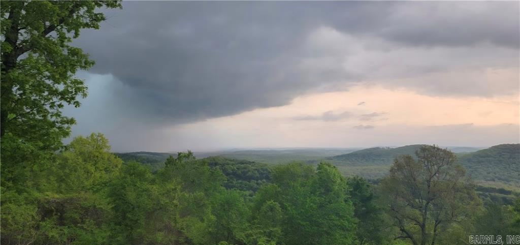 10974 Ricks Drive Harrison, AR 72601