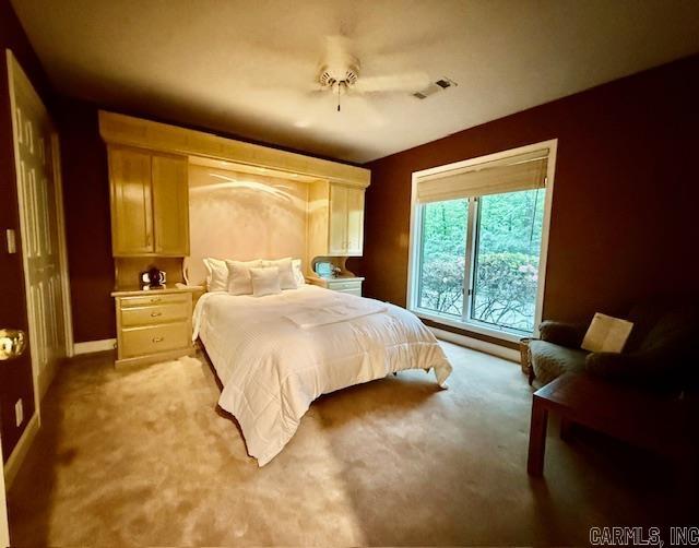 2 Balboa Cove Hot Springs Village, AR 71909