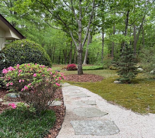 2 Balboa Cove Hot Springs Village, AR 71909