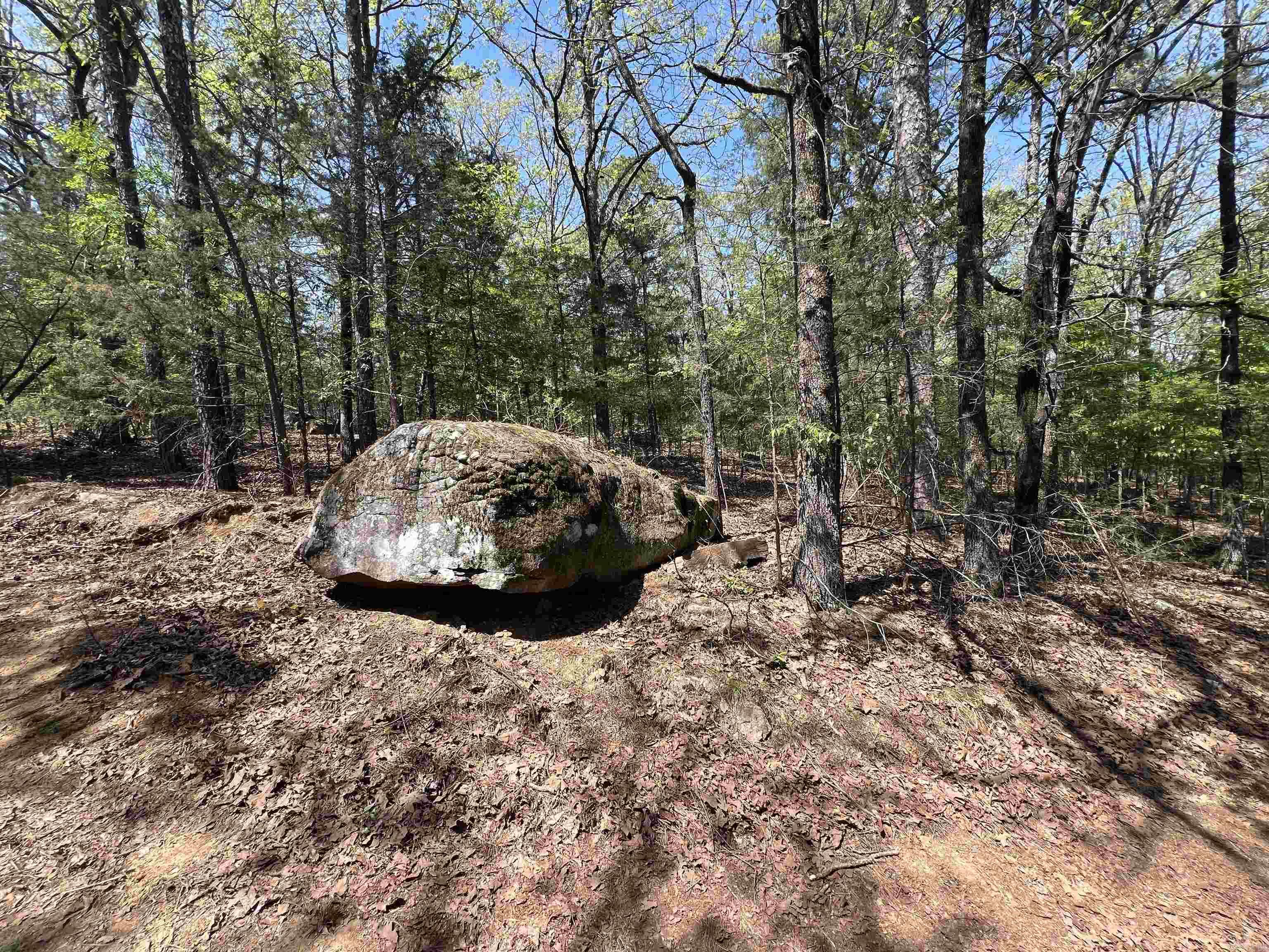 Tract 2 Fox Pen Rd.  Searcy, AR