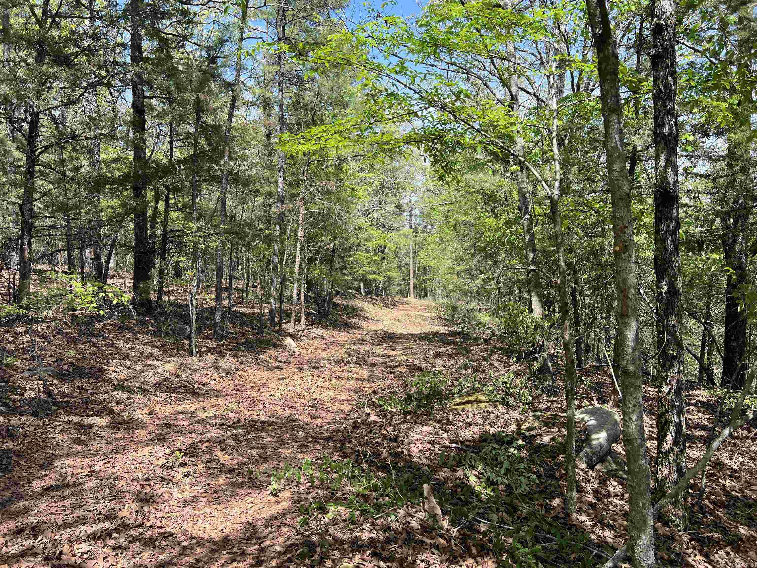 Tract 2 Fox Pen Rd.  Searcy, AR