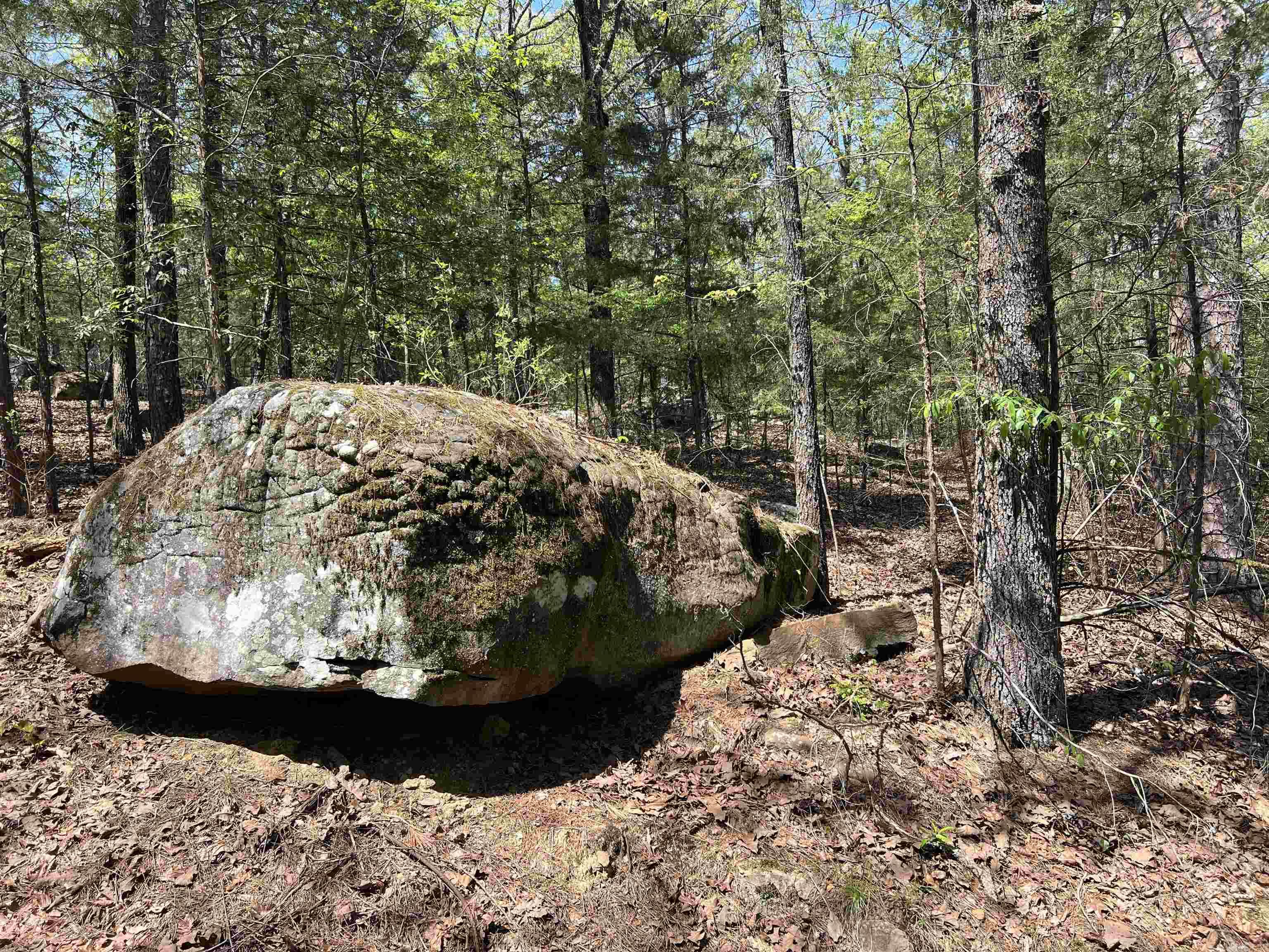 Tract 2 Fox Pen Rd.  Searcy, AR