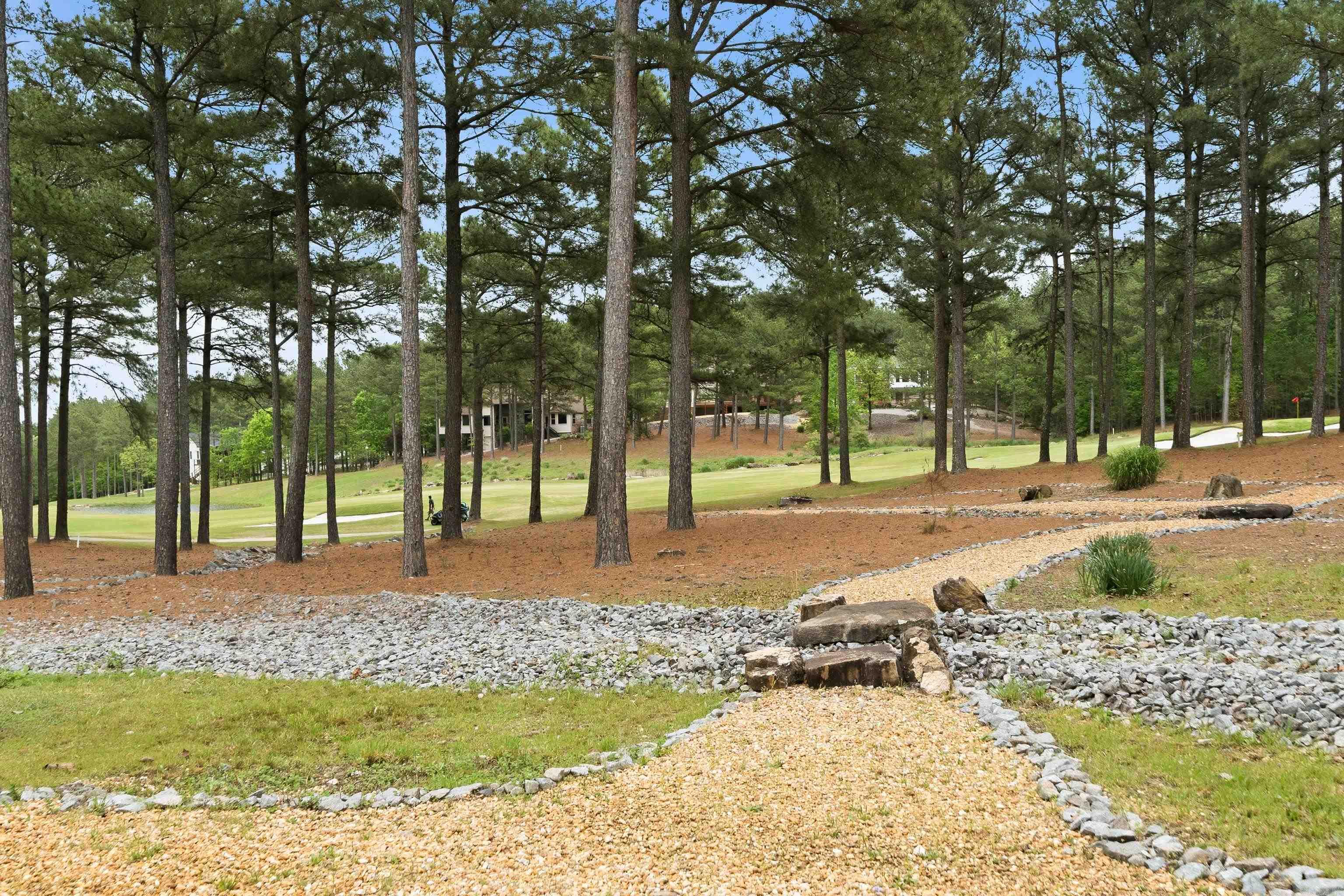 2 Alteza Drive  Hot Springs Village, AR