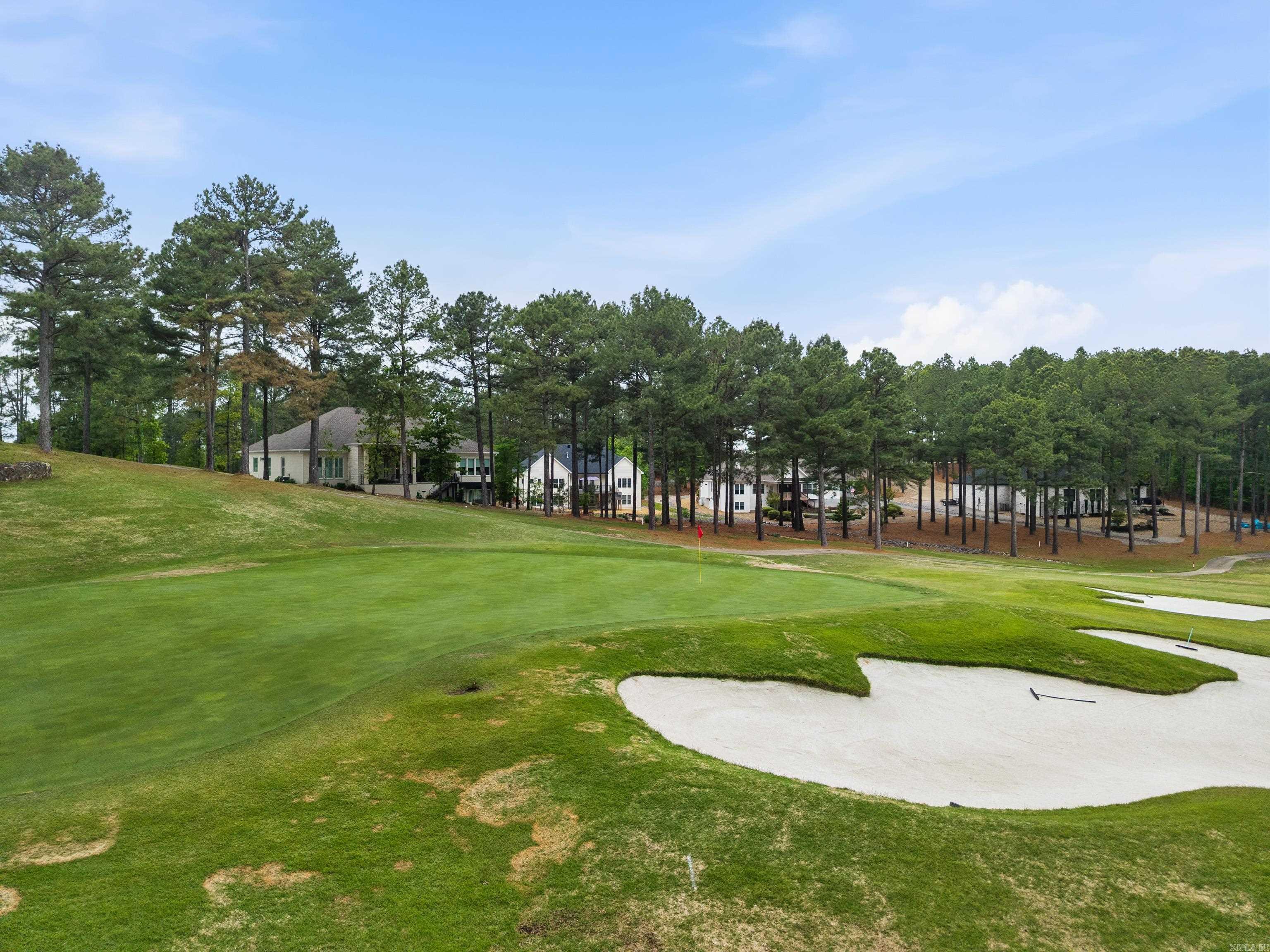 2 Alteza Drive  Hot Springs Village, AR