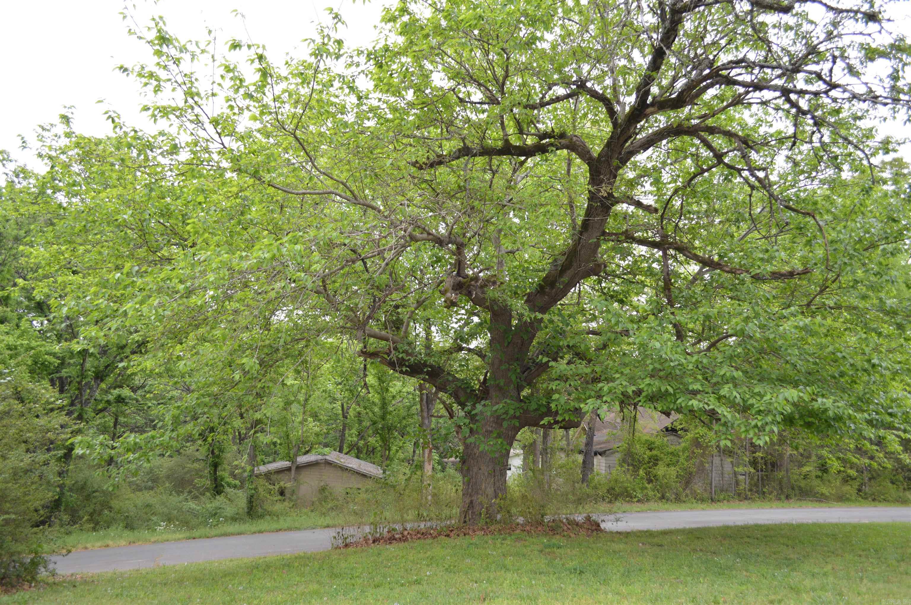 100 W Clinton  Heber Springs, AR