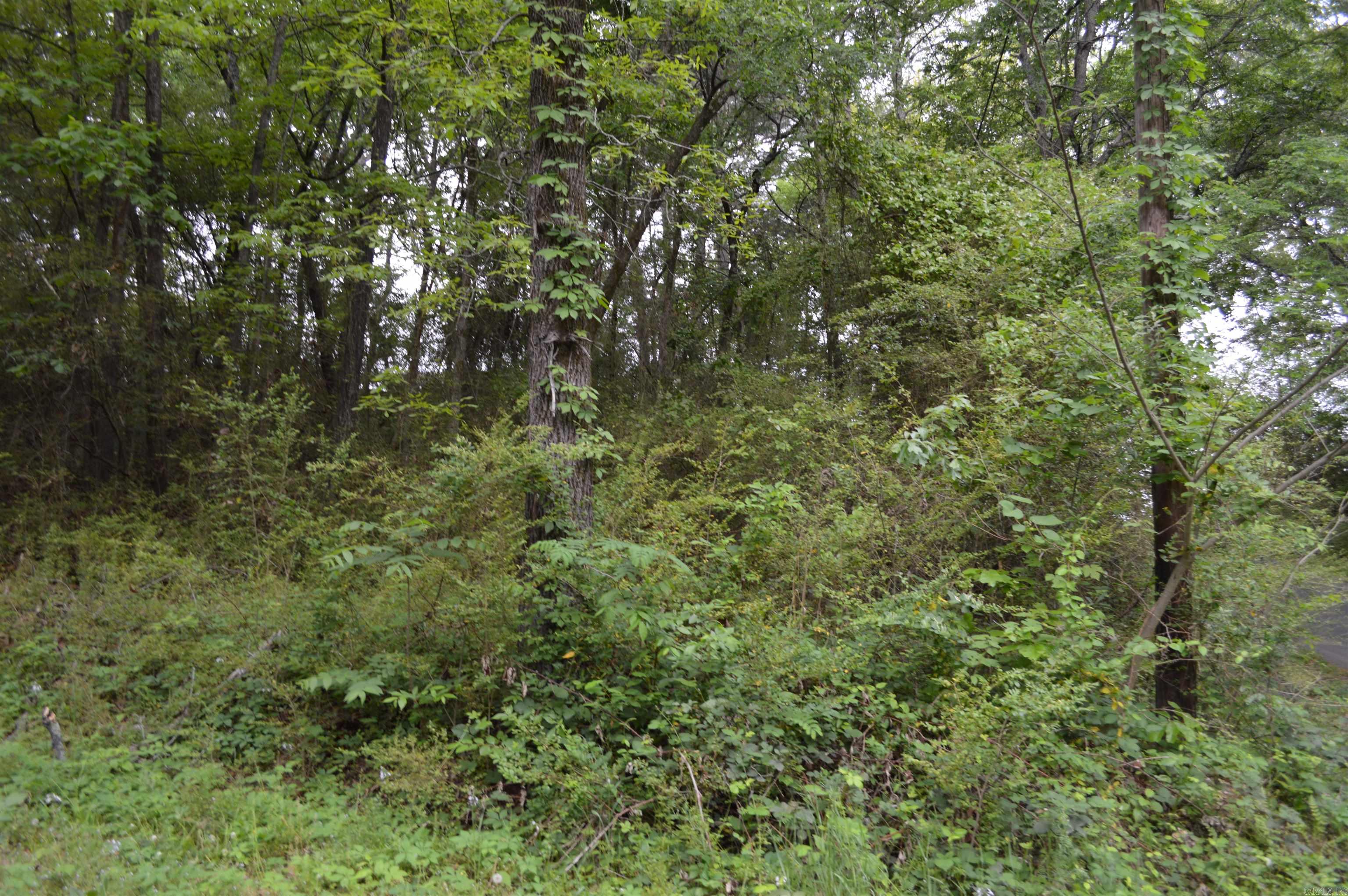 100 W Clinton  Heber Springs, AR