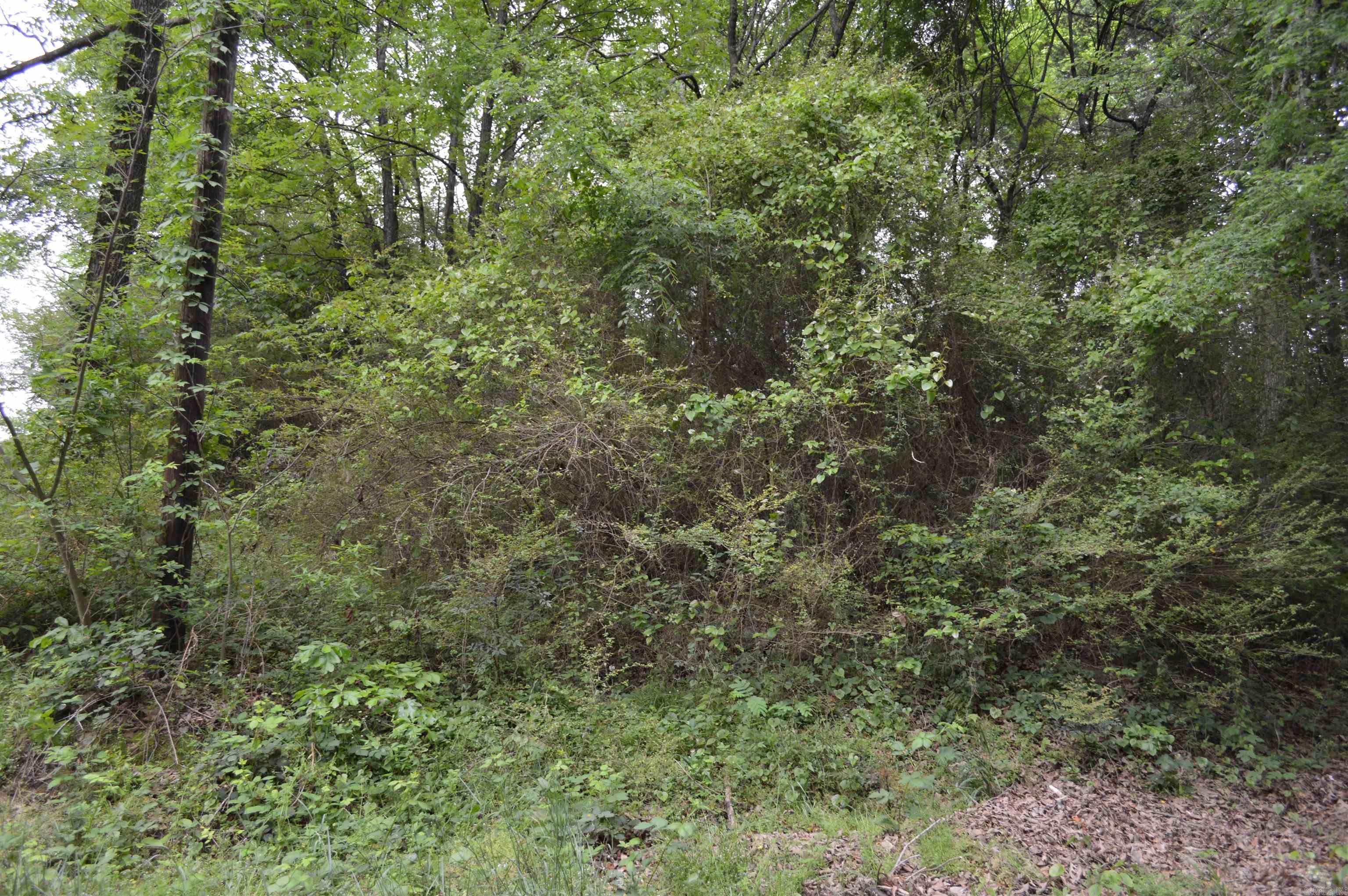 100 W Clinton  Heber Springs, AR