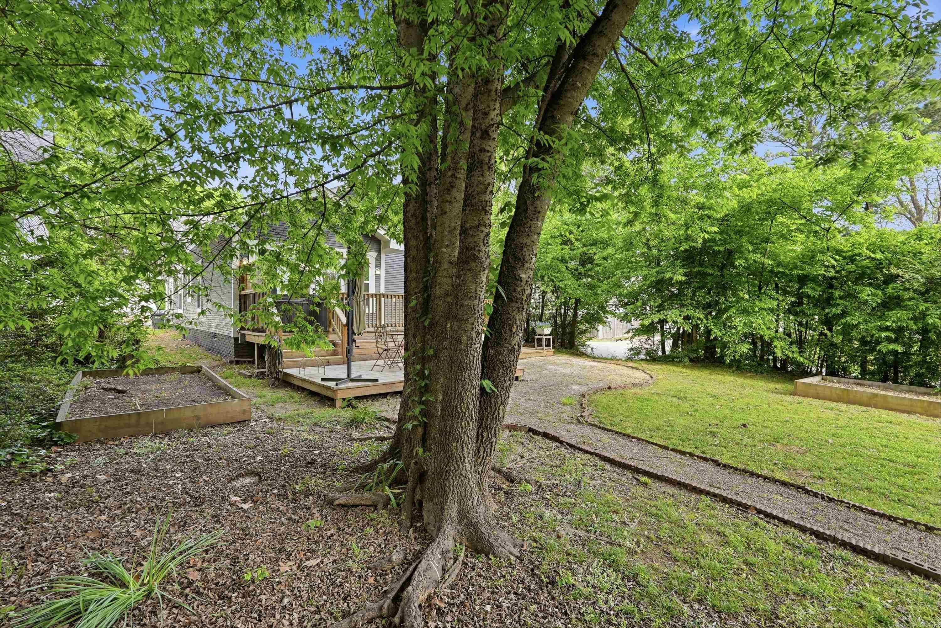 1038 Clifton St  Conway, AR