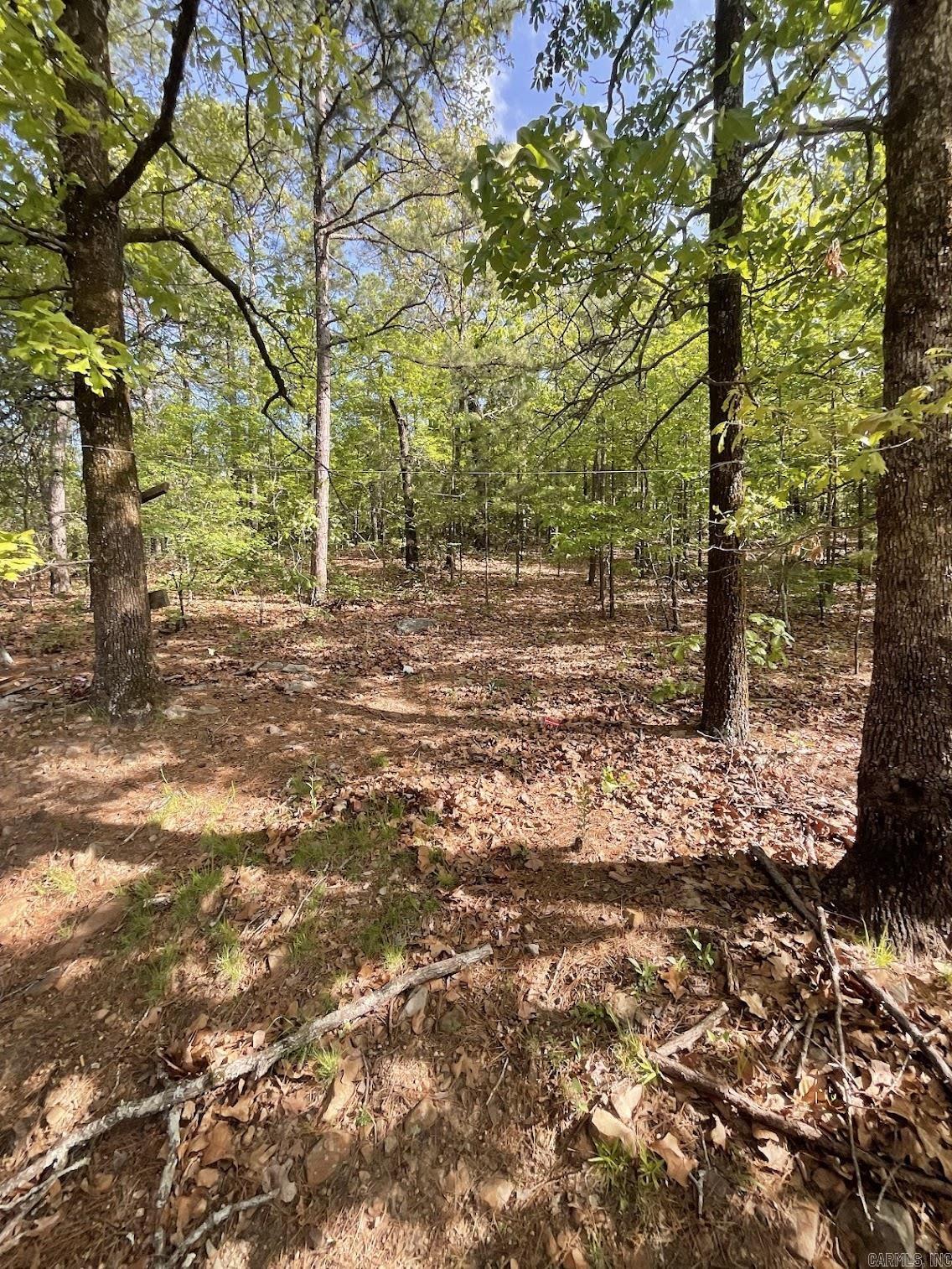 45 W Dawn  Mayflower, AR