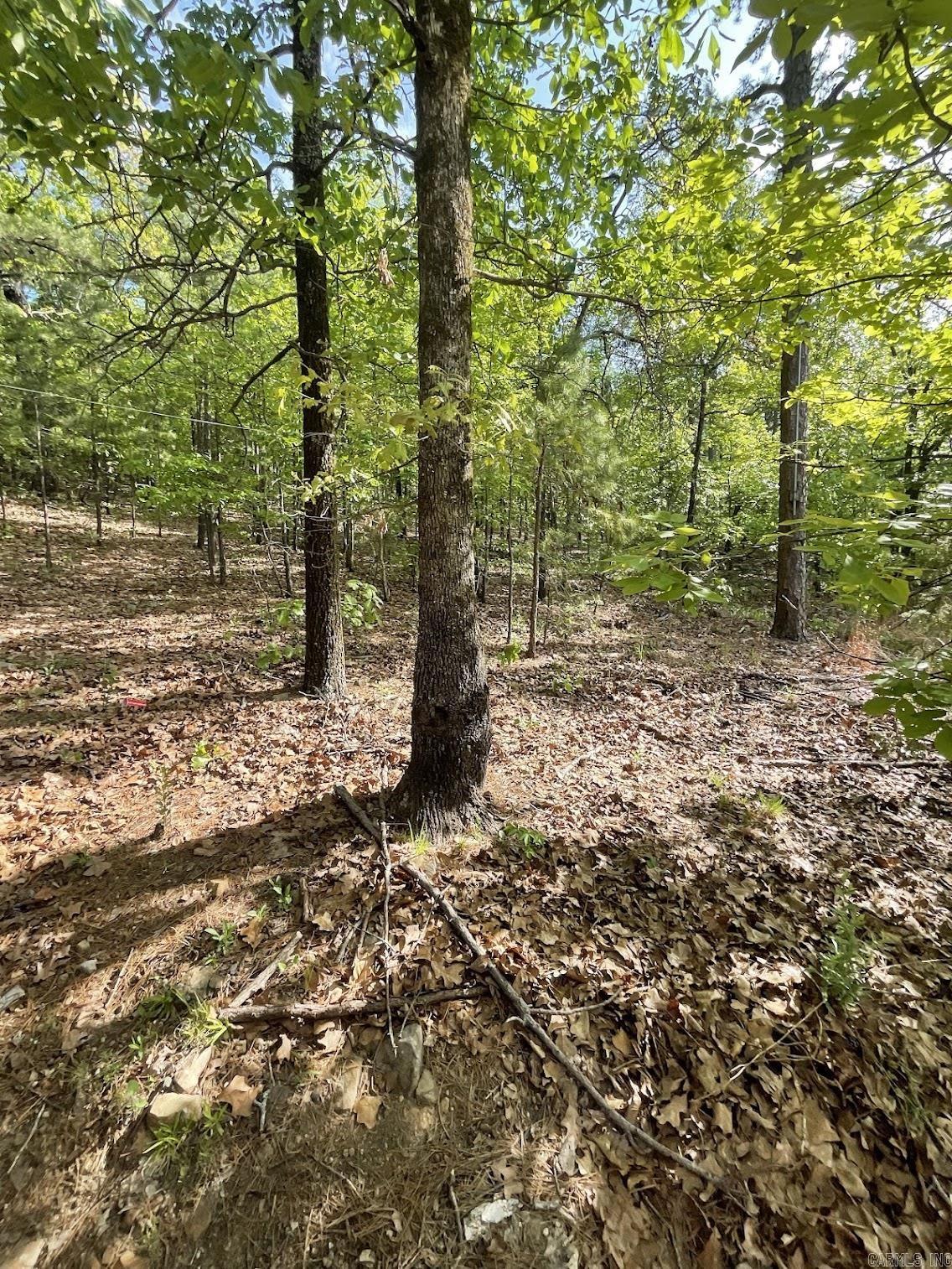 45 W Dawn  Mayflower, AR