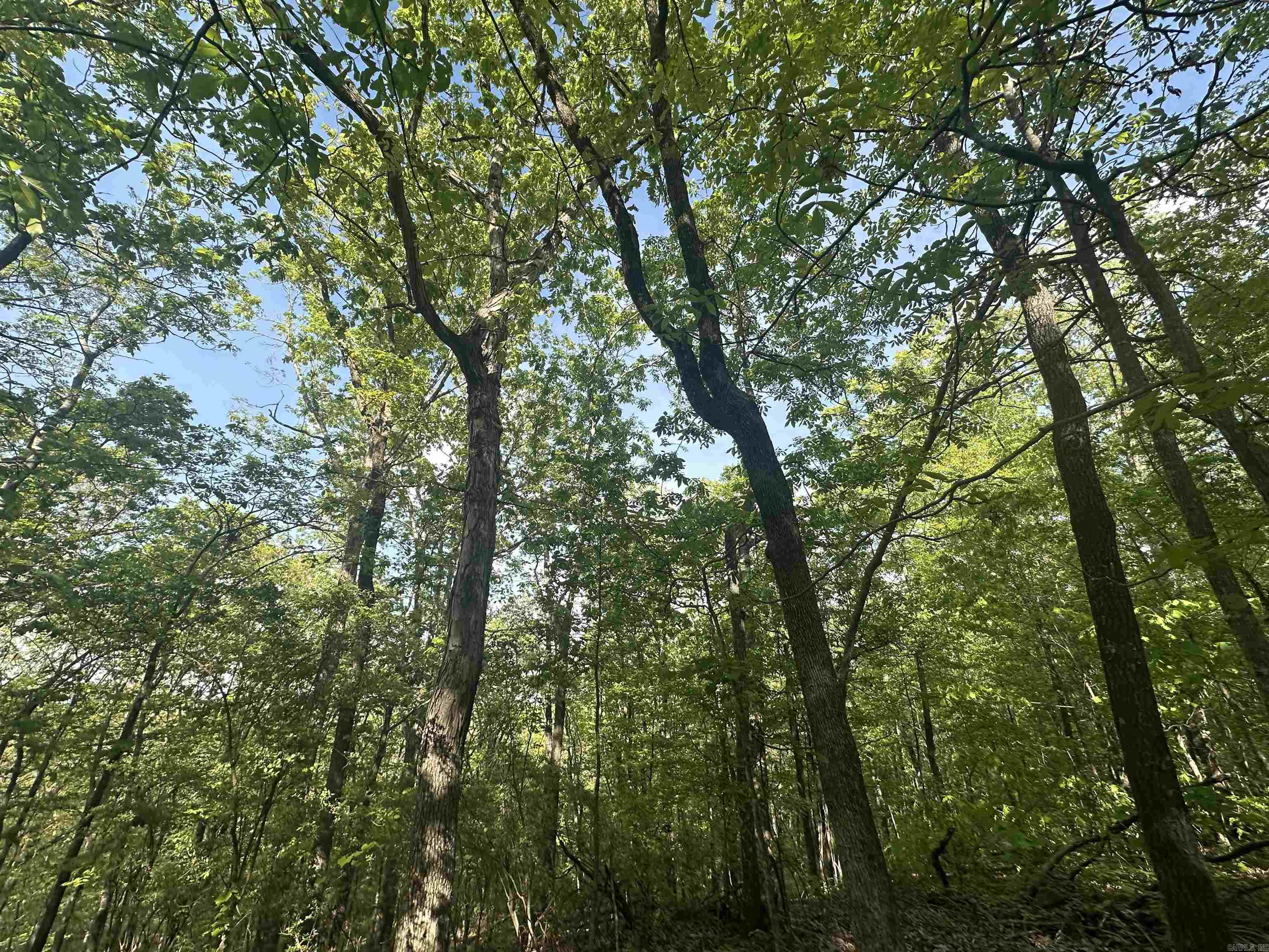 250 Windwood Country  El Paso, AR