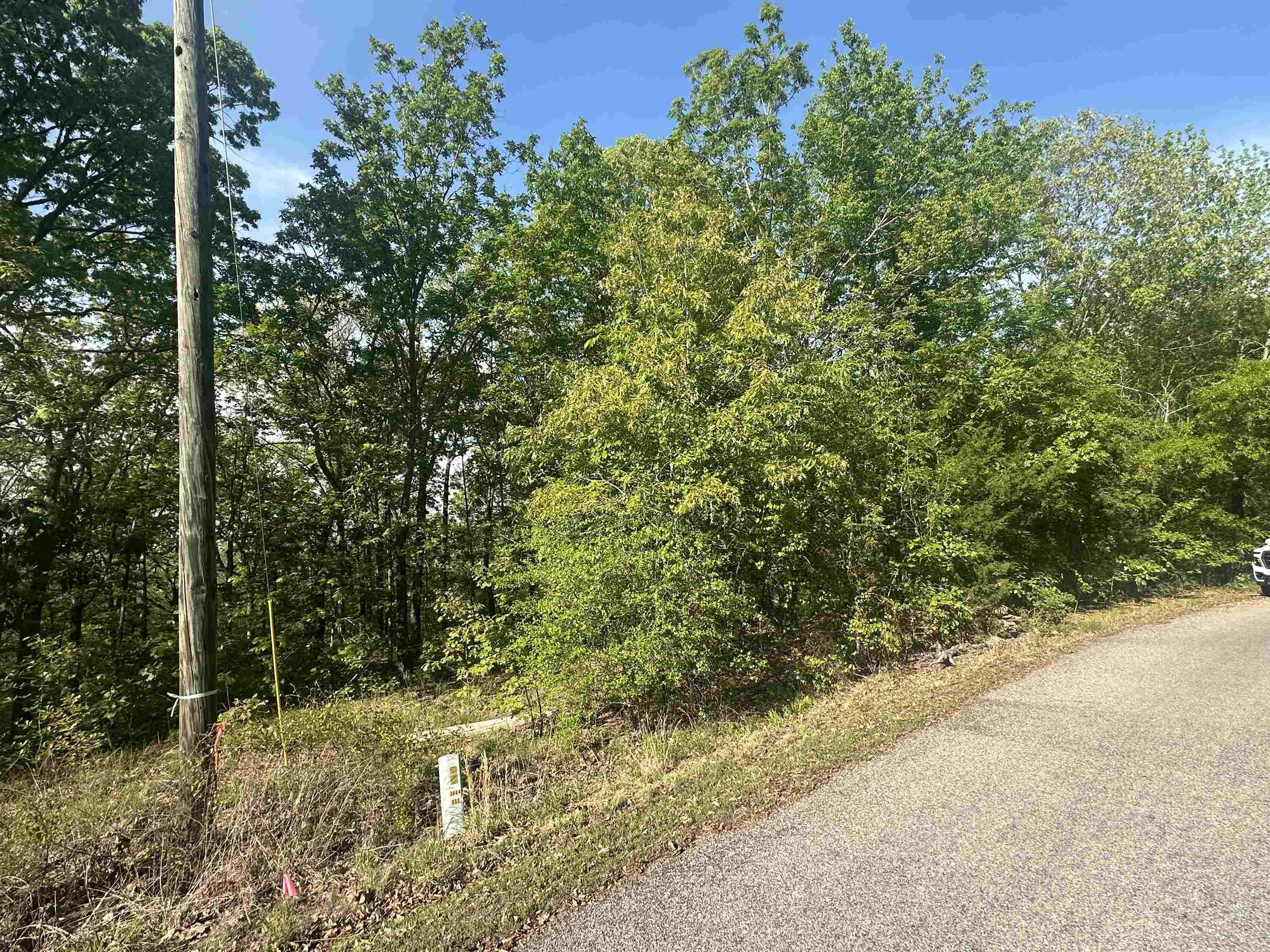 250 Windwood Country  El Paso, AR