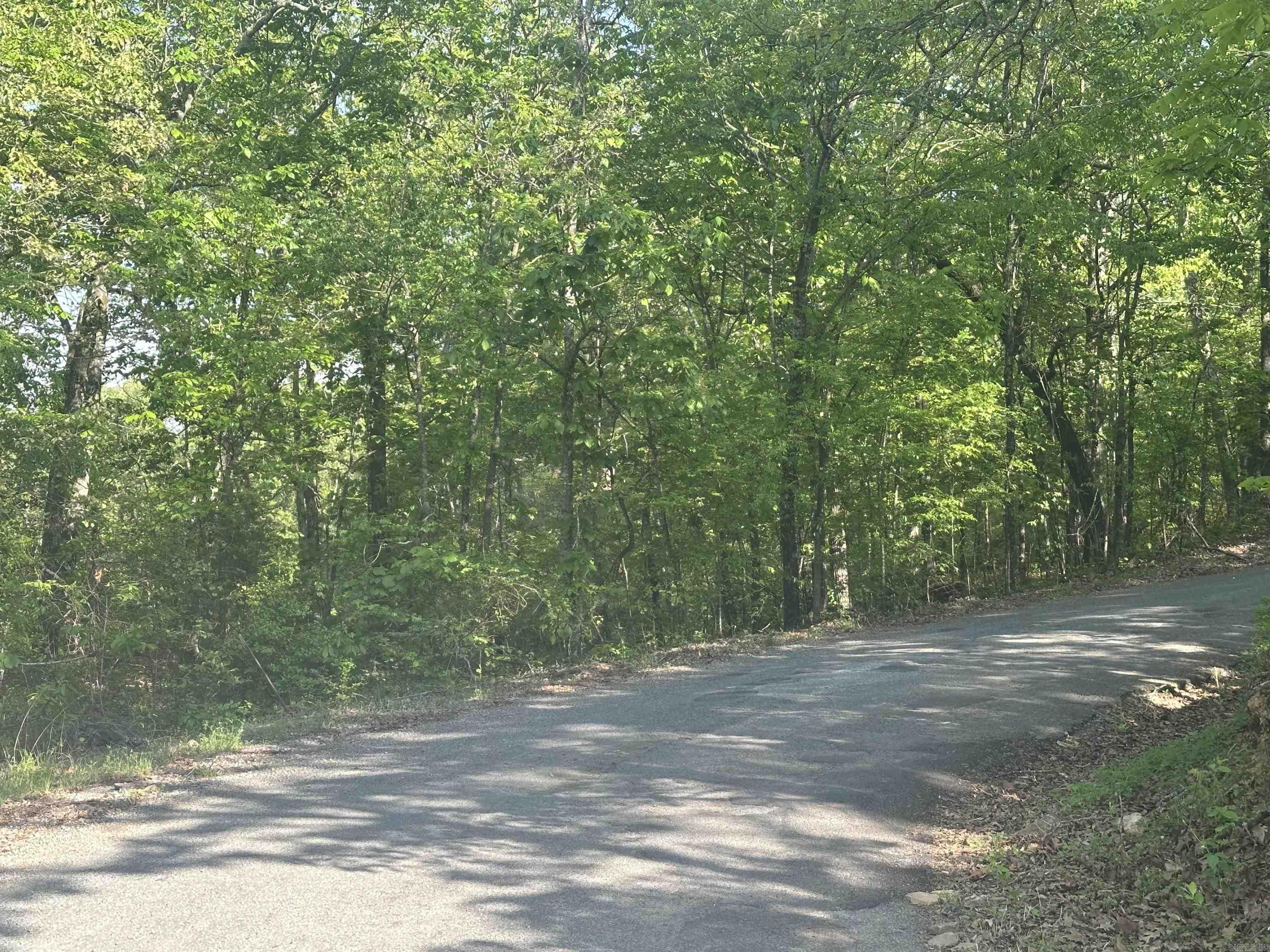 250 Windwood Country  El Paso, AR