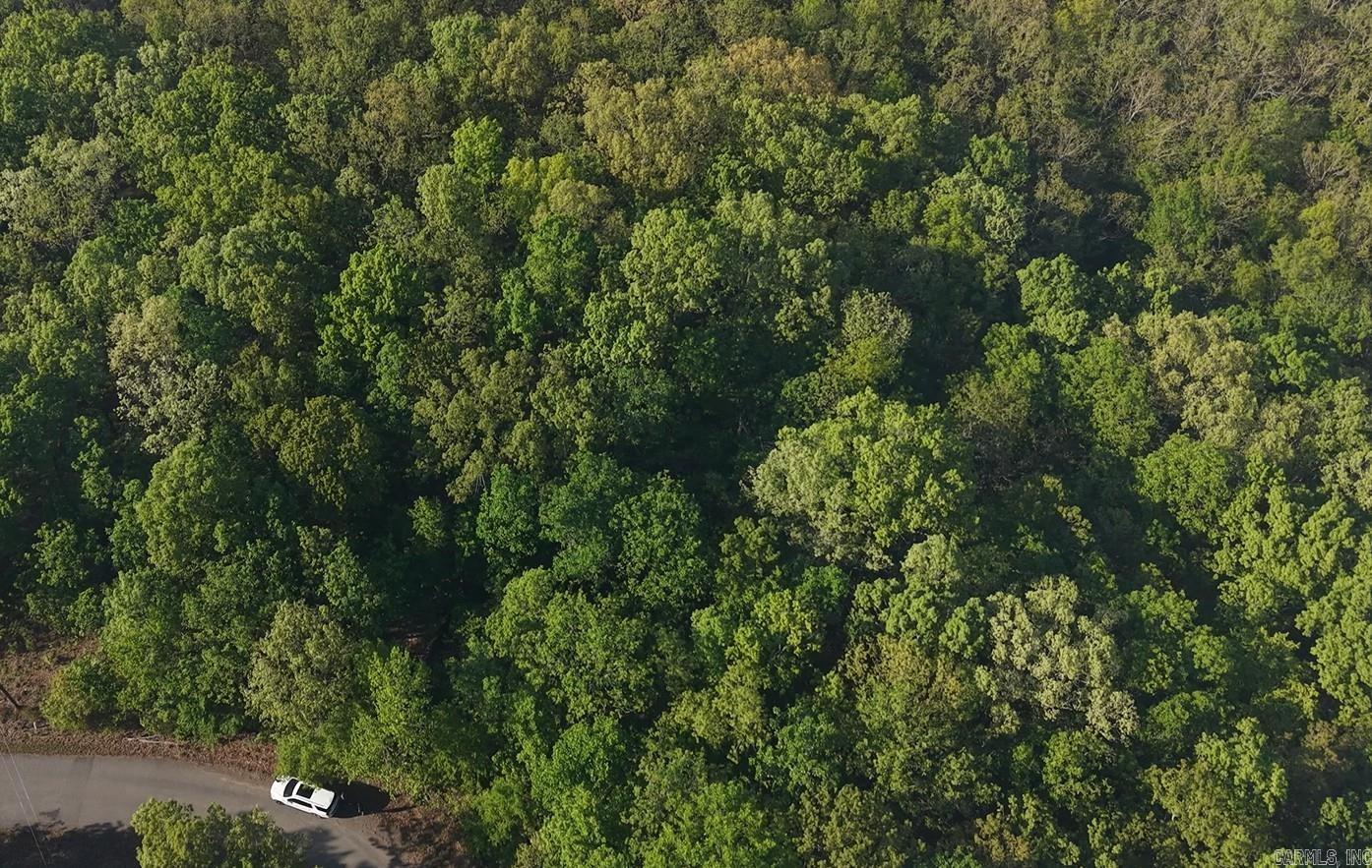 250 Windwood Country  El Paso, AR