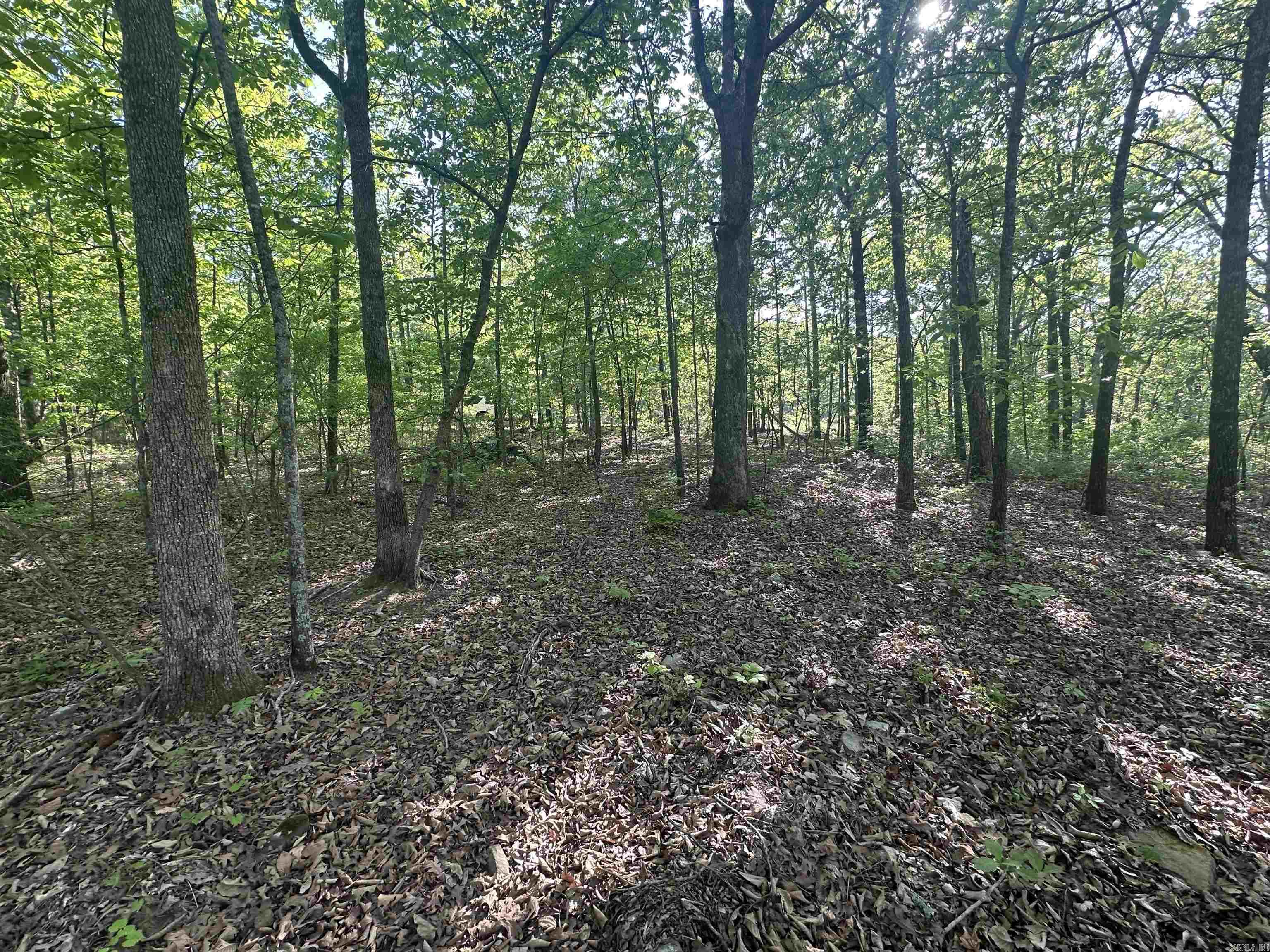 250 Windwood Country  El Paso, AR