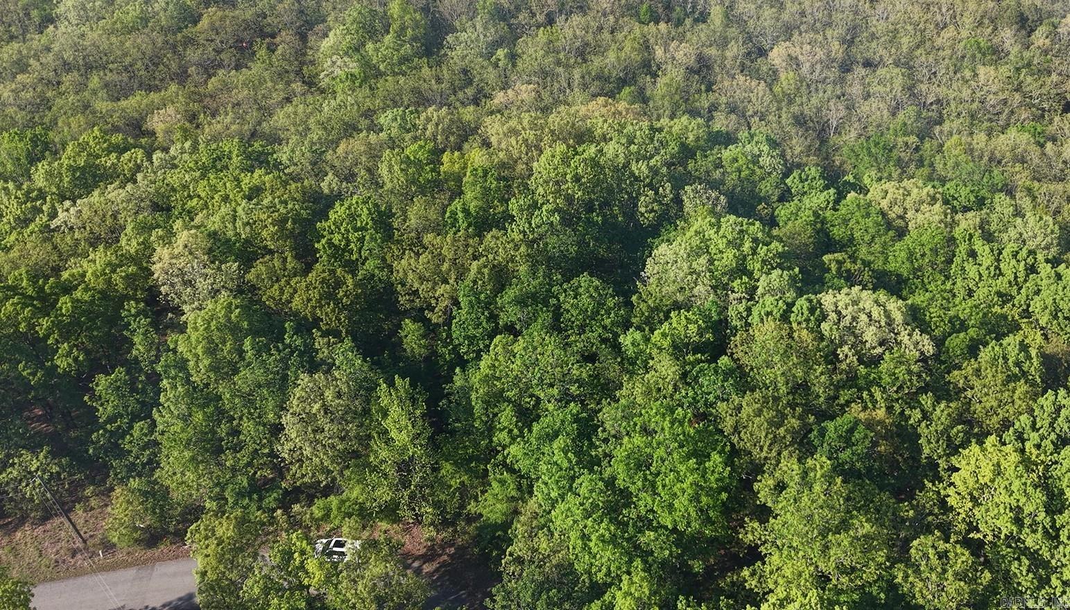 250 Windwood Country  El Paso, AR