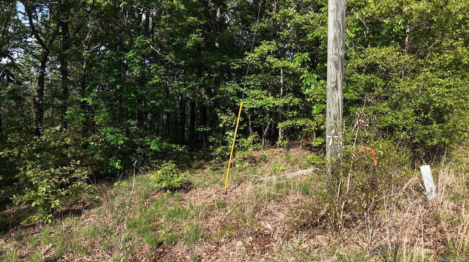 250 Windwood Country  El Paso, AR