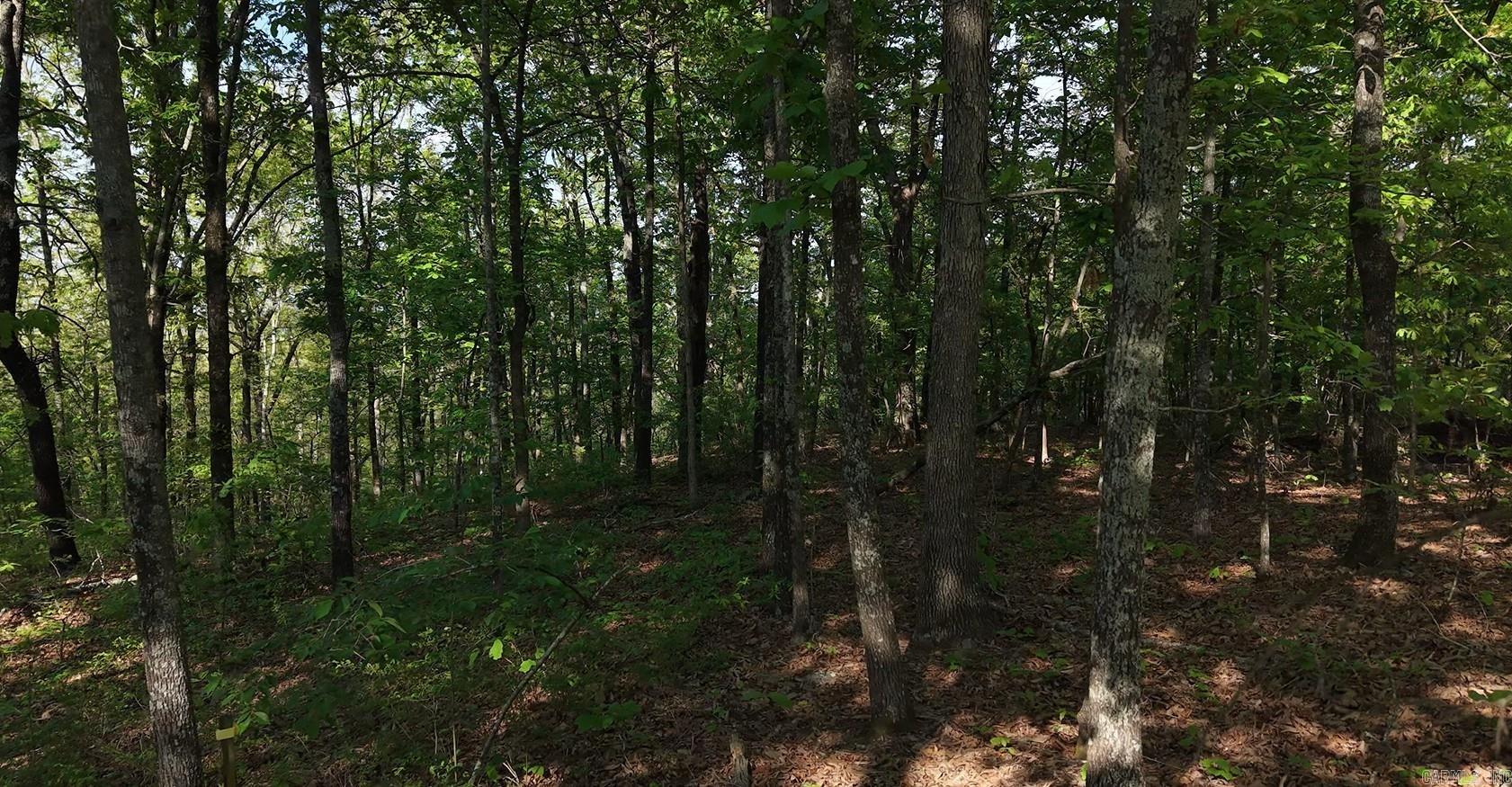 250 Windwood Country  El Paso, AR