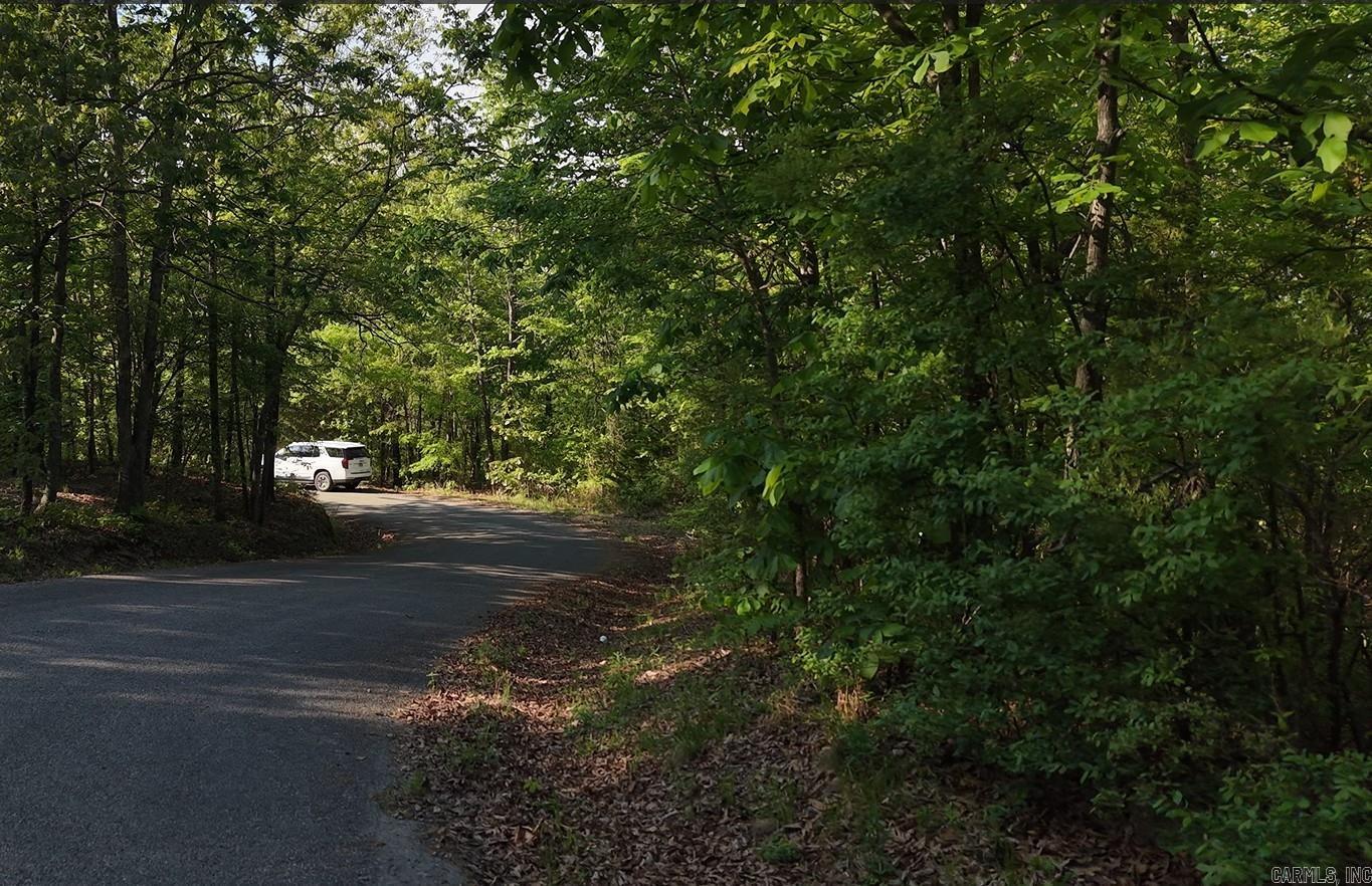 250 Windwood Country  El Paso, AR