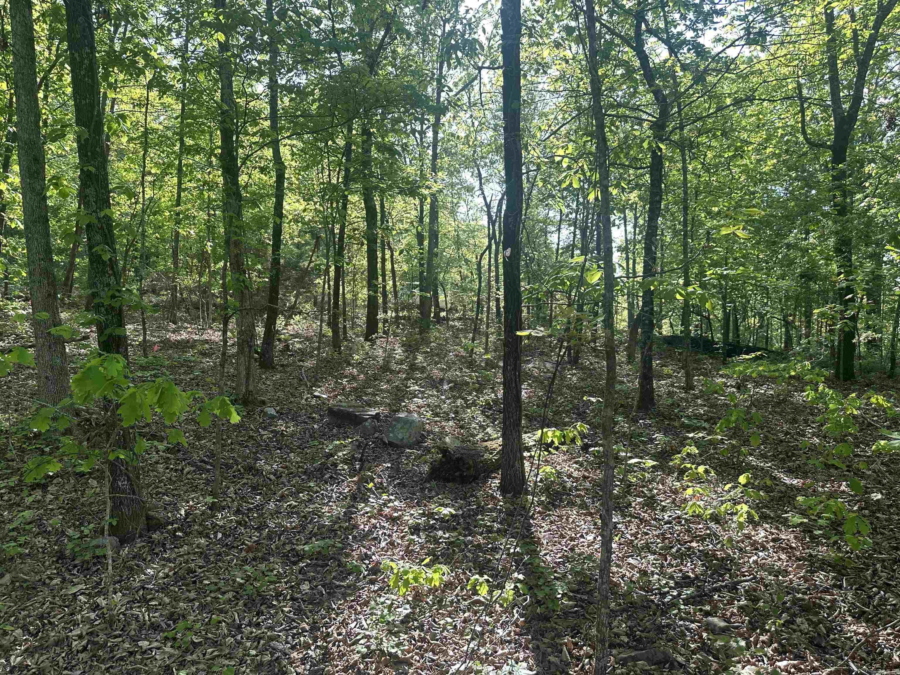 250 Windwood Country  El Paso, AR