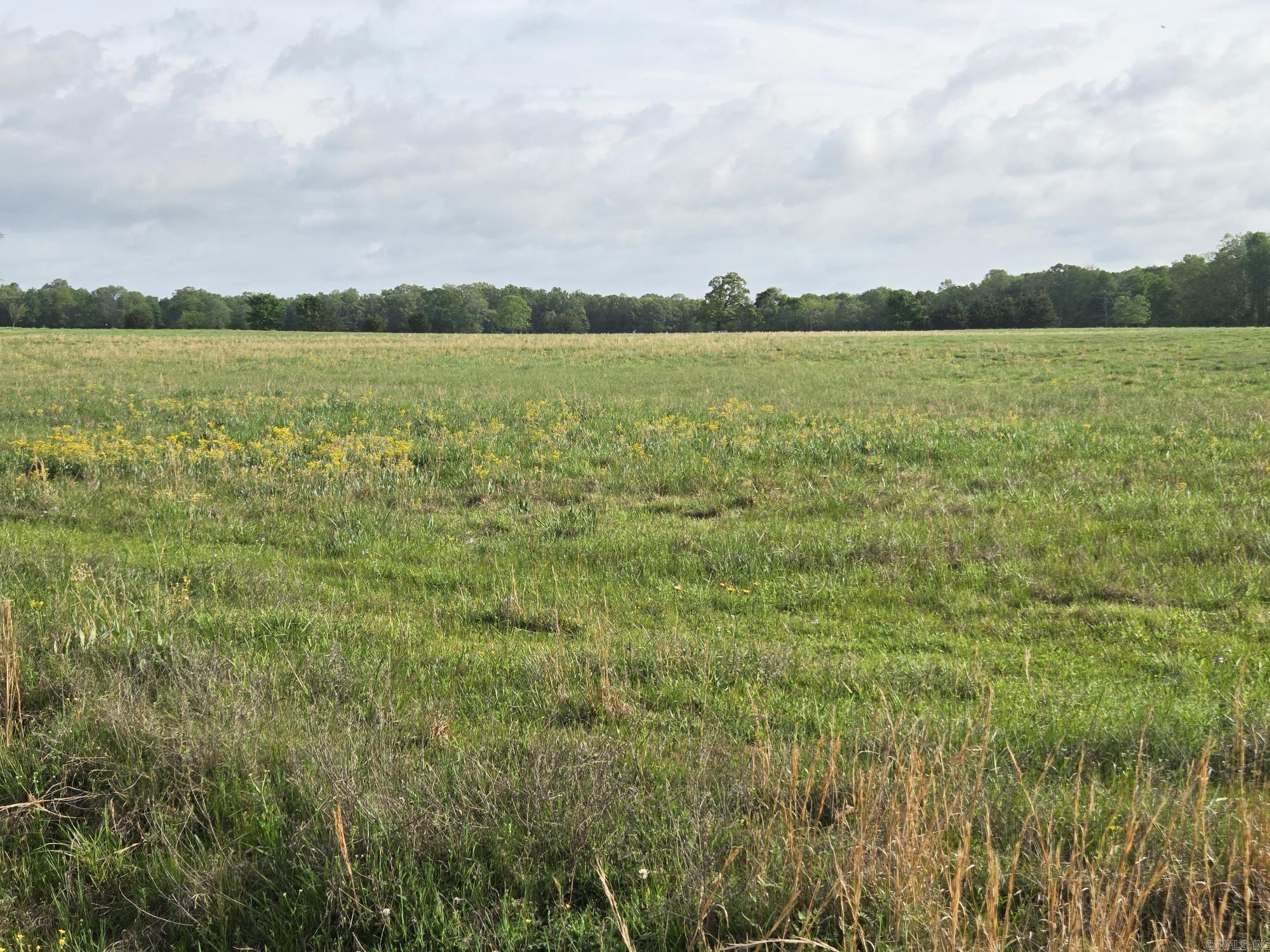 22.24 Acres off Durham Rd.  Searcy, AR