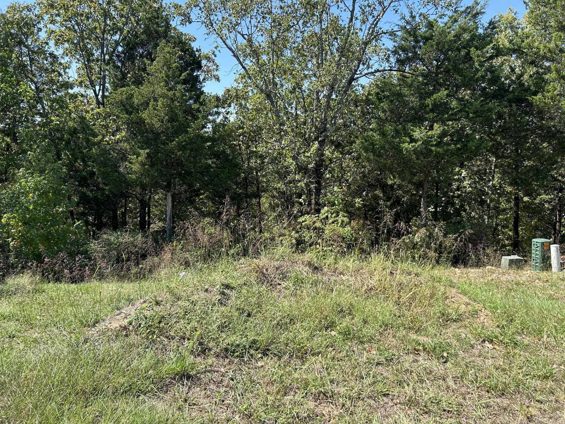 1045 Edinburgh Drive  Conway, AR