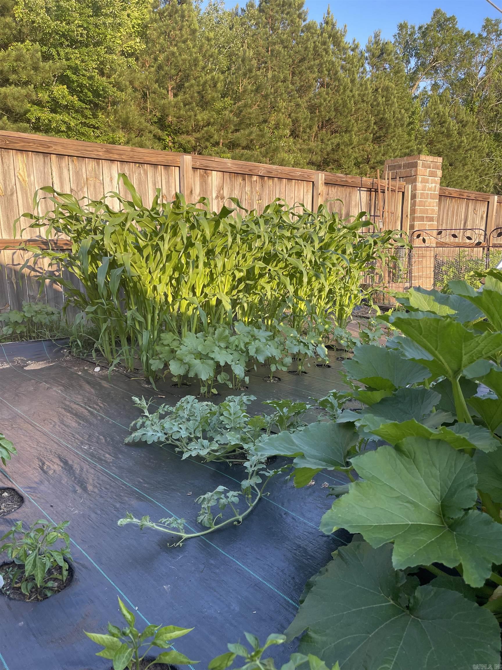 6300 Lena  Alexander, AR