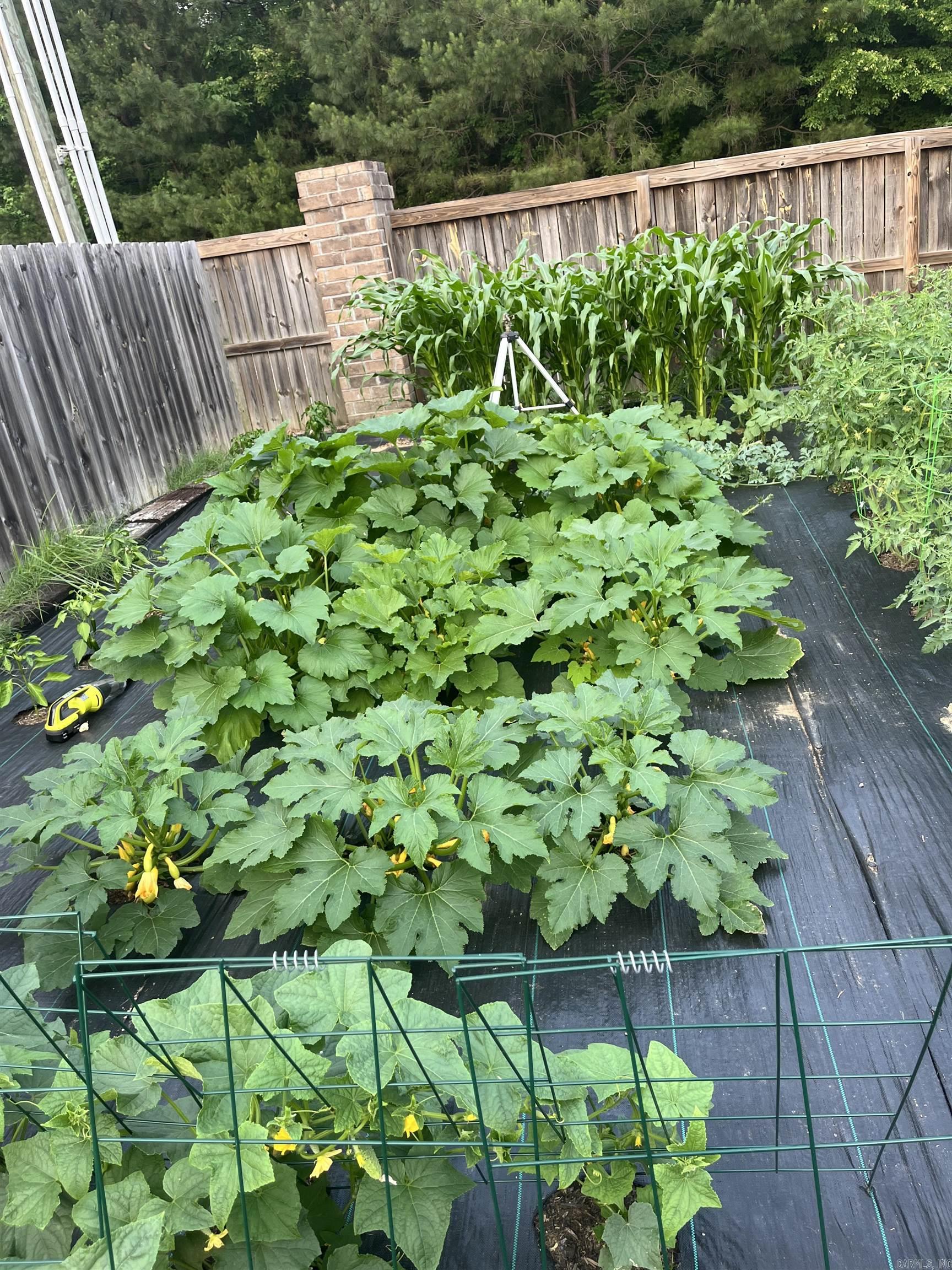 6300 Lena  Alexander, AR