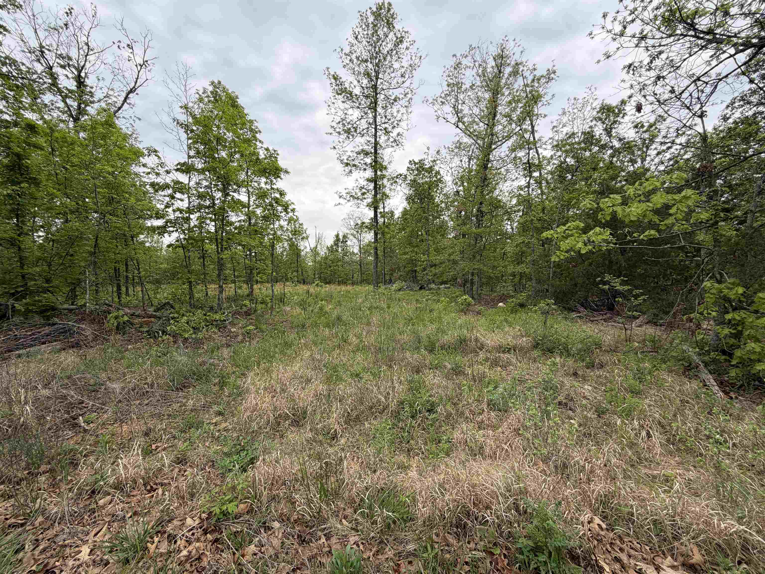 303 Mother Lode  Horseshoe Bend, AR