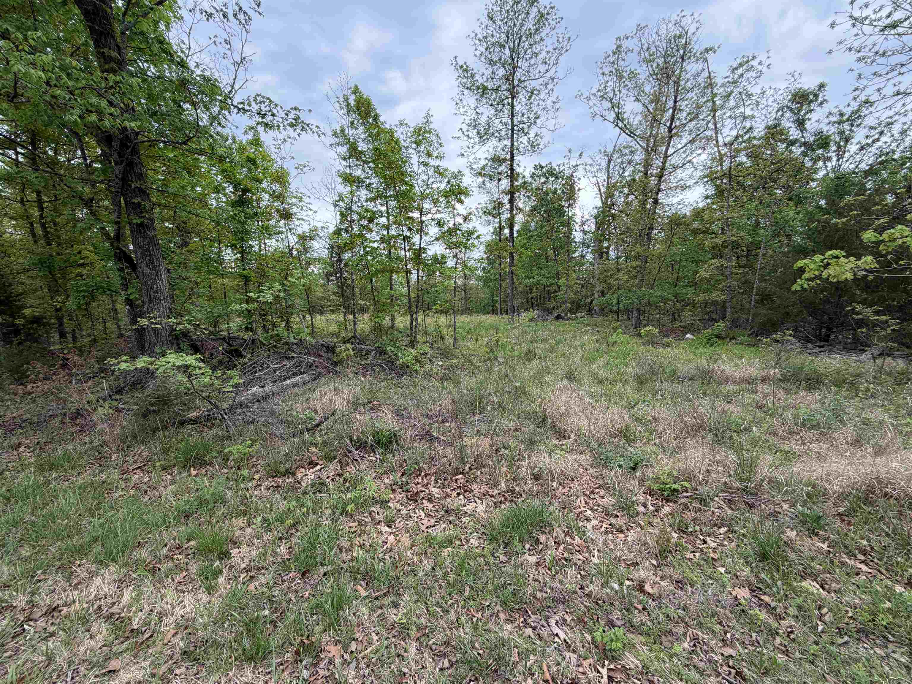303 Mother Lode  Horseshoe Bend, AR