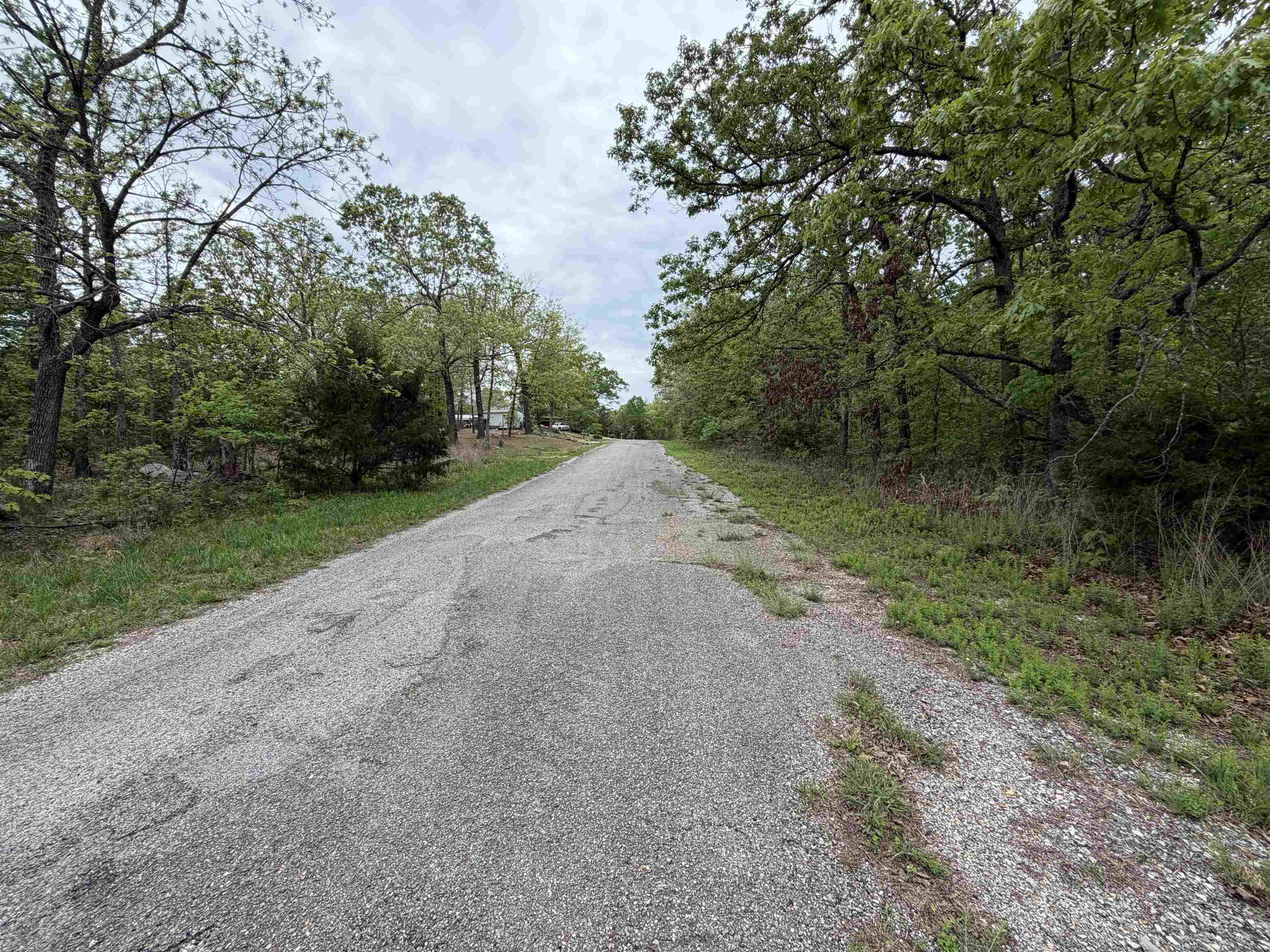 303 Mother Lode  Horseshoe Bend, AR