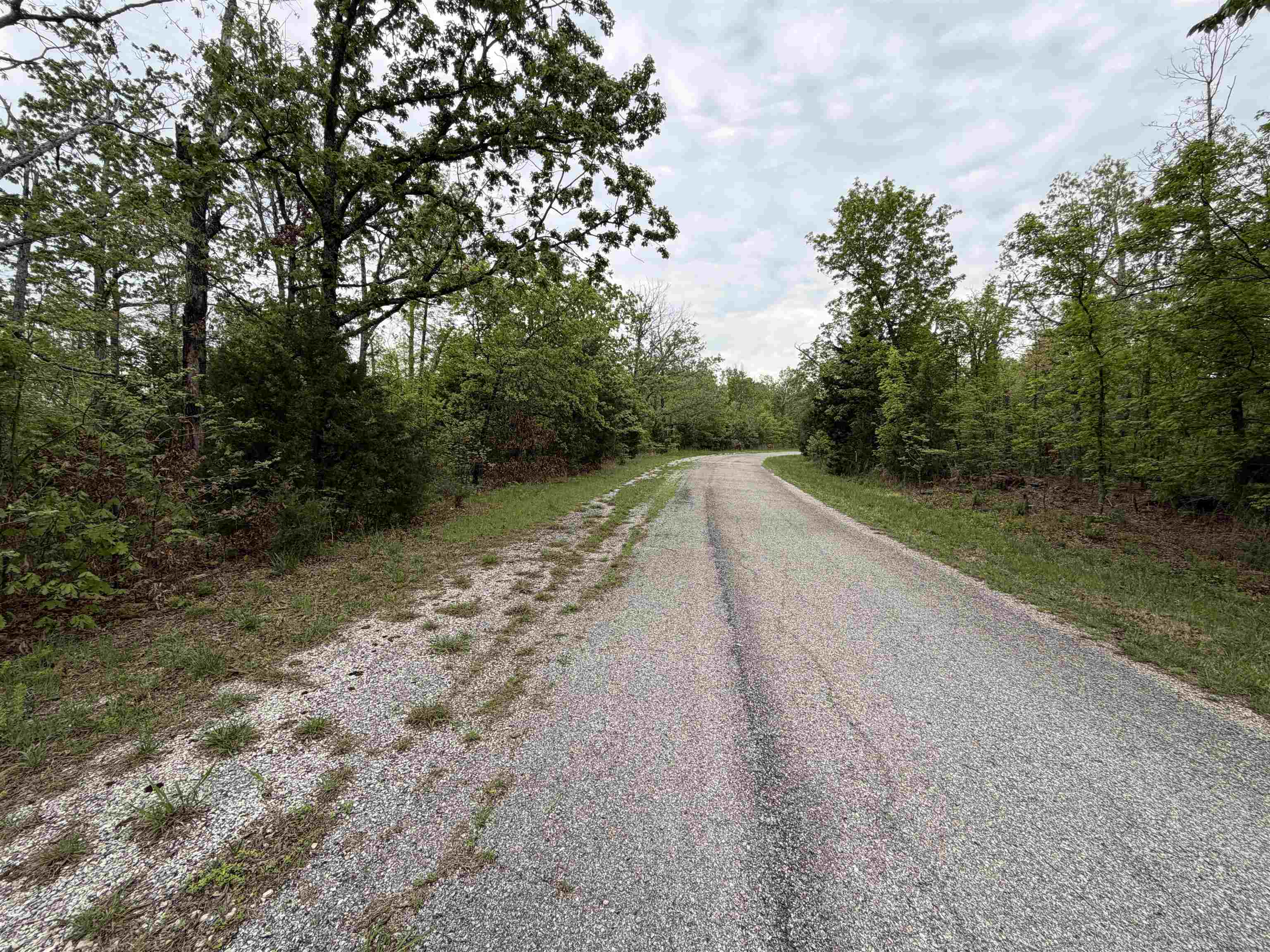 303 Mother Lode  Horseshoe Bend, AR