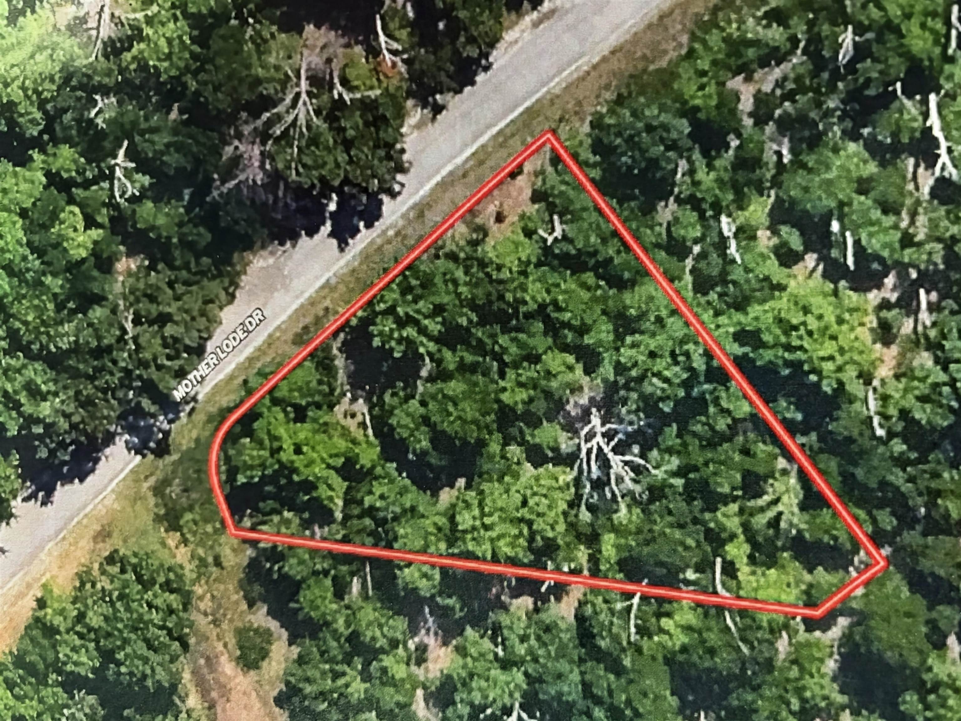 303 Mother Lode  Horseshoe Bend, AR