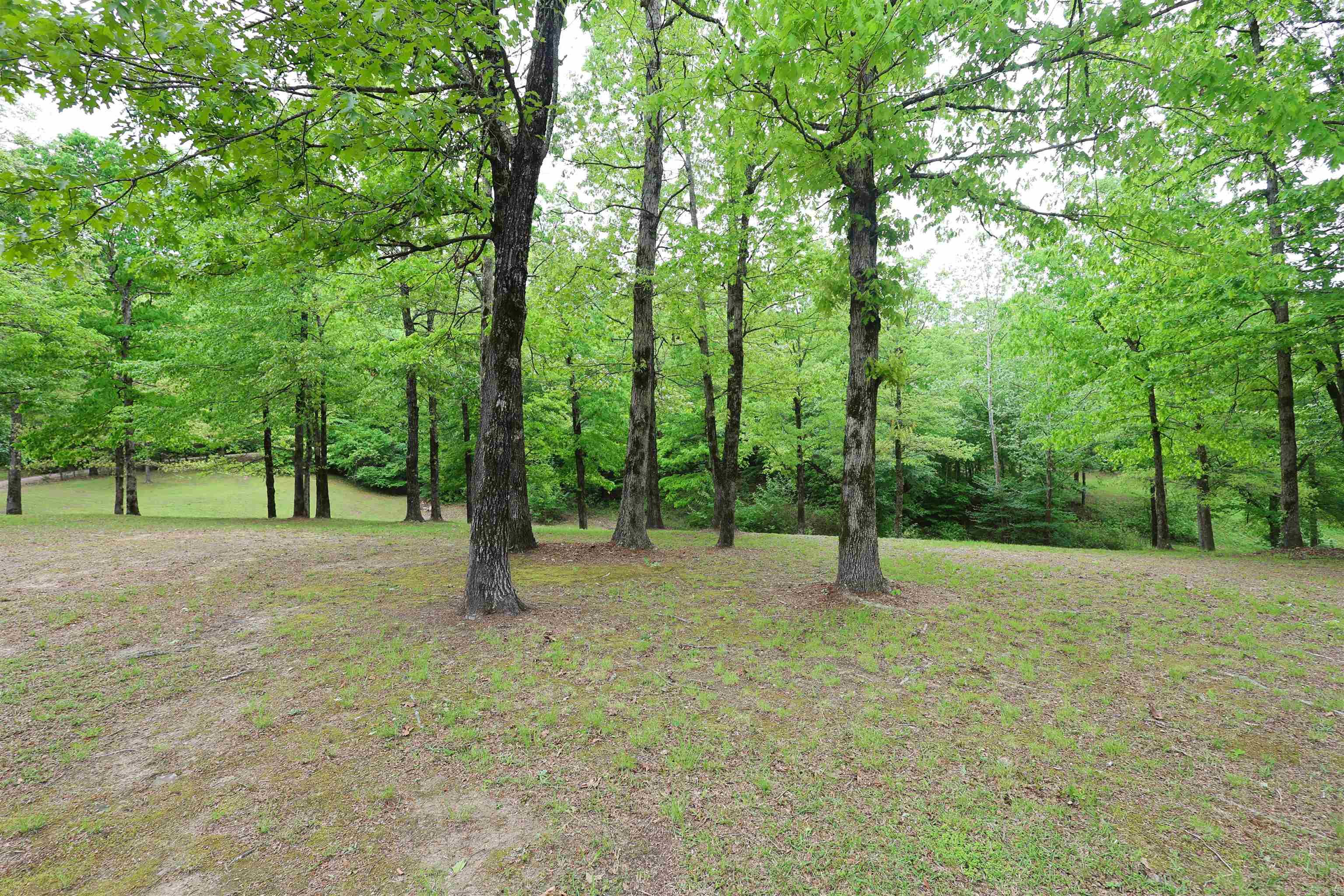 4 River Watch  Glenwood, AR