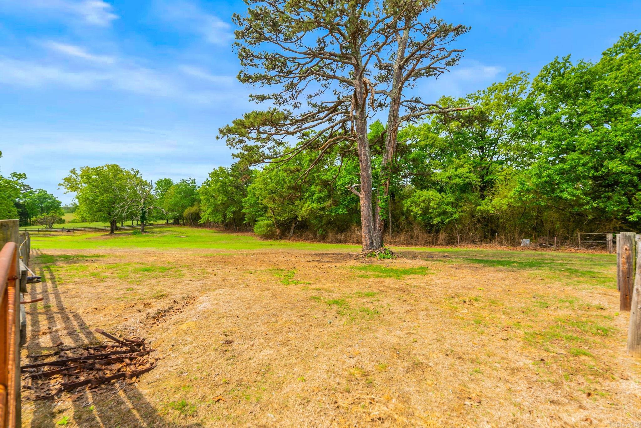 9 Hensley Drive  Damascus, AR