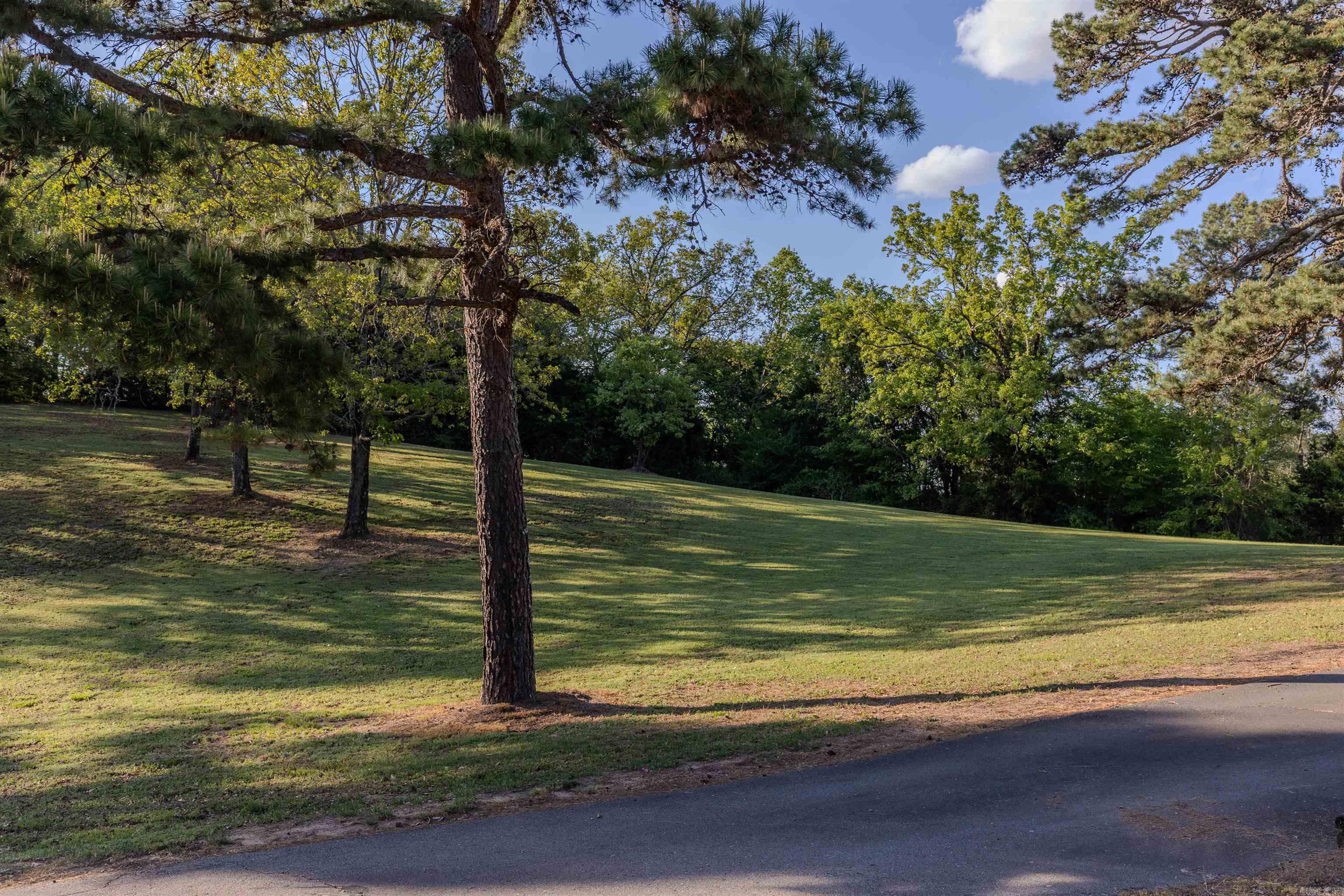 244 Pearson  Bigelow, AR