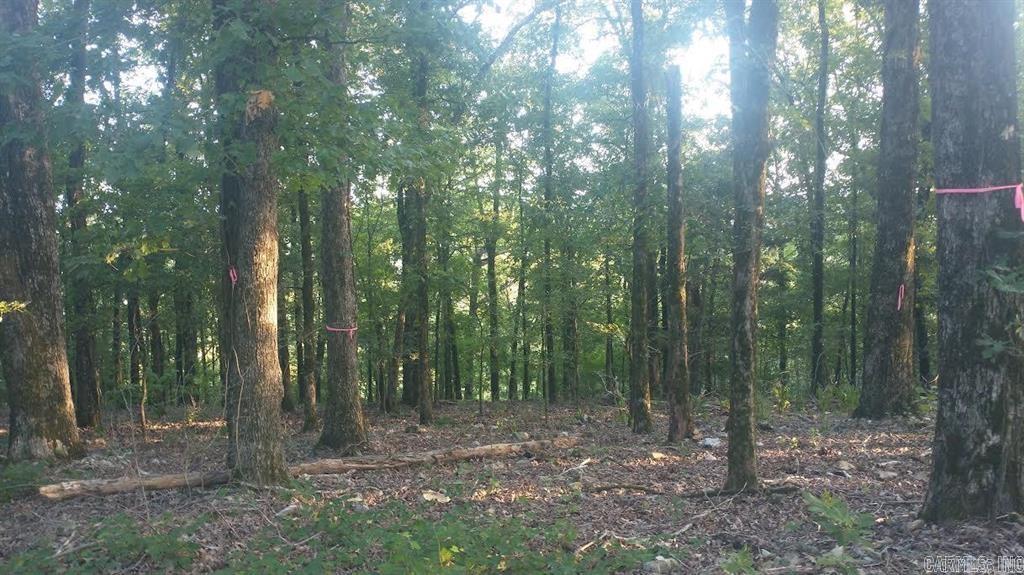 Lot Q Hwy 8 E Burnham Mountain Estates Glenwood, AR
