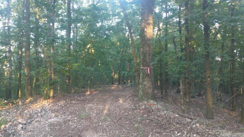 Lot Q Hwy 8 E Burnham Mountain Estates Glenwood, AR