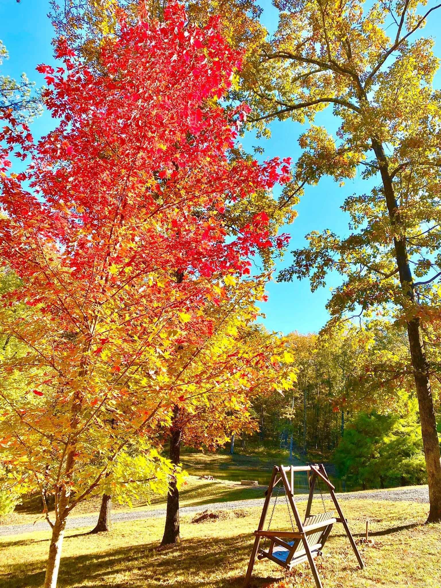 355 RIVERBEND  Clinton, AR