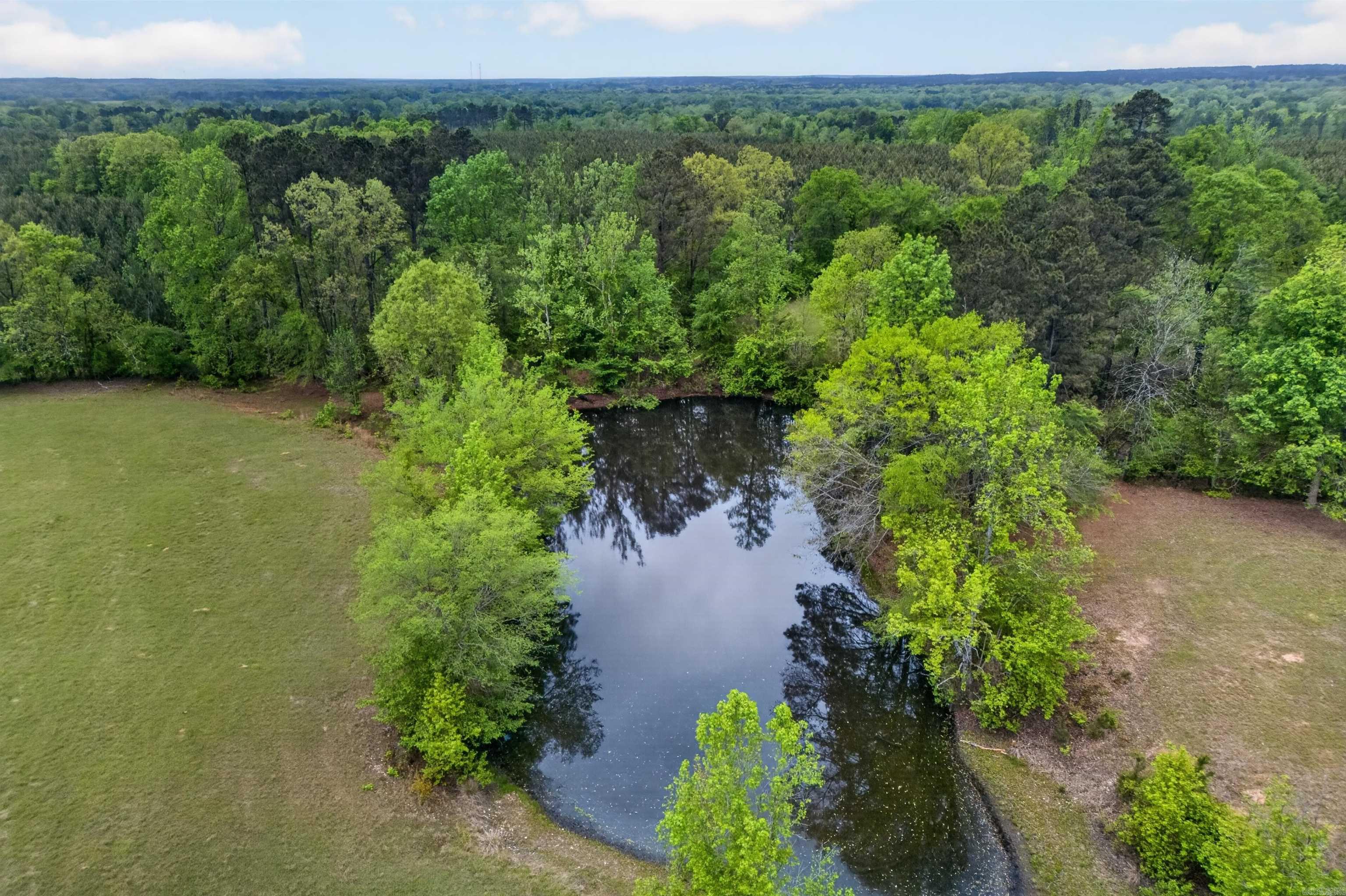 89 Nantz  Arkadelphia, AR