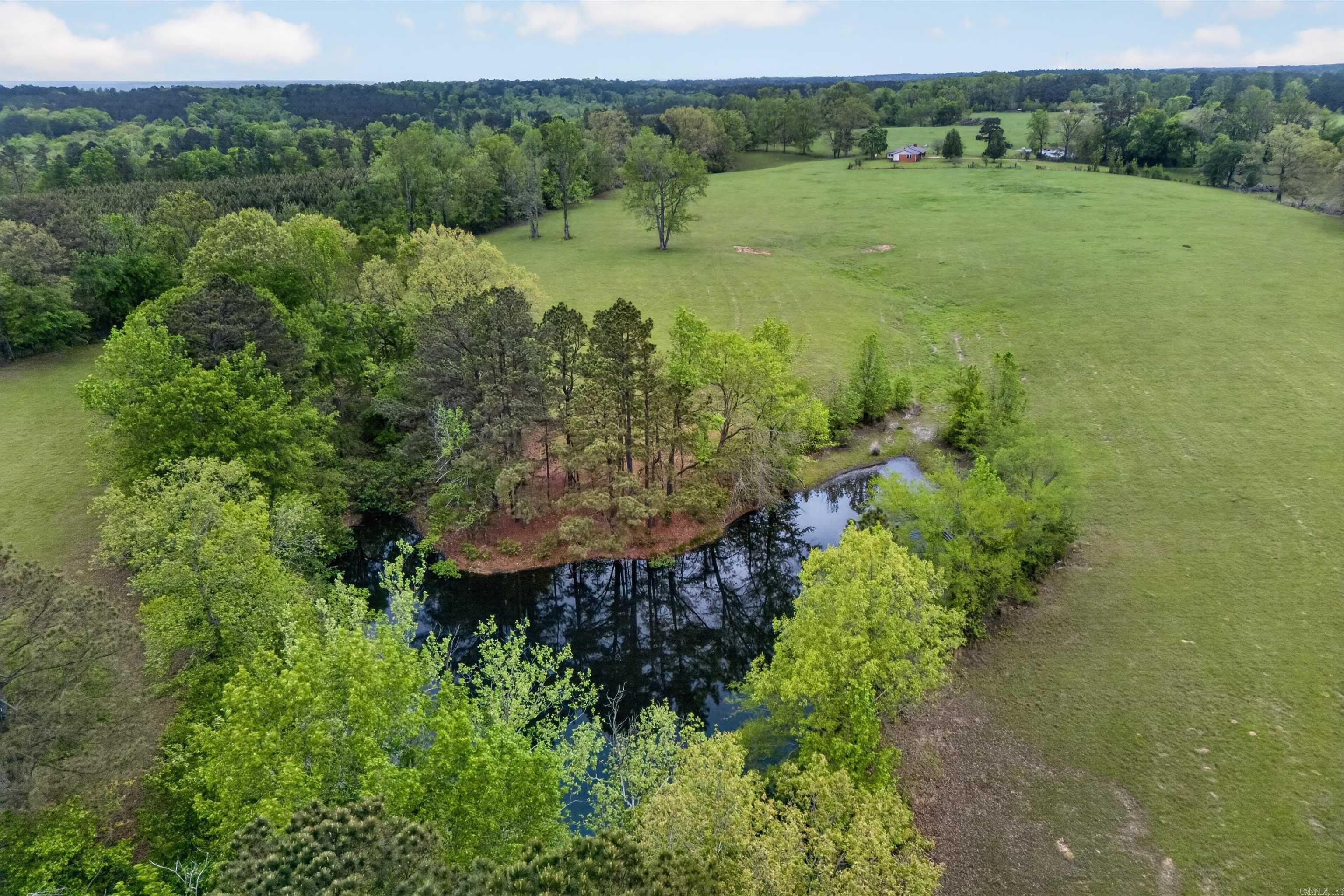 89 Nantz  Arkadelphia, AR