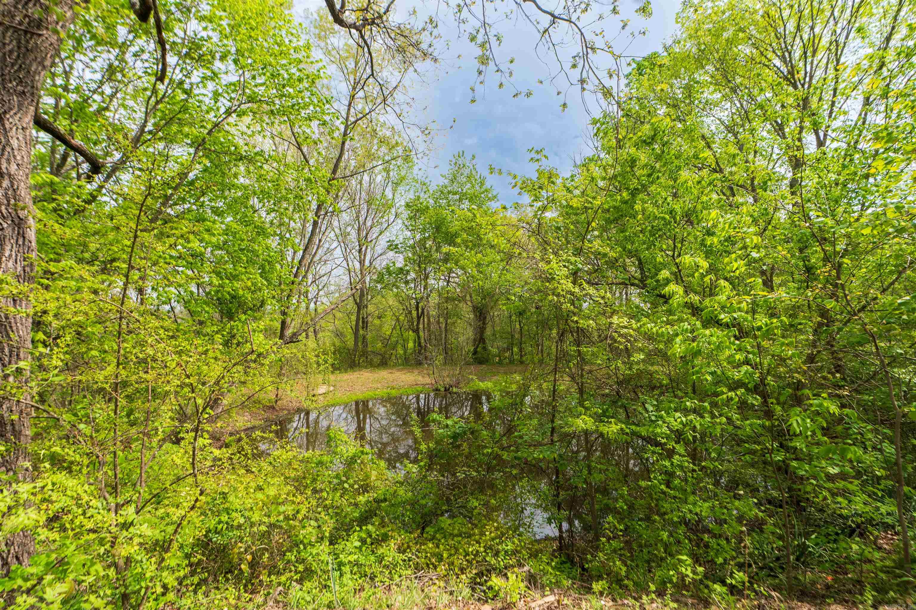 12633 HWY 65  Saint Joe, AR