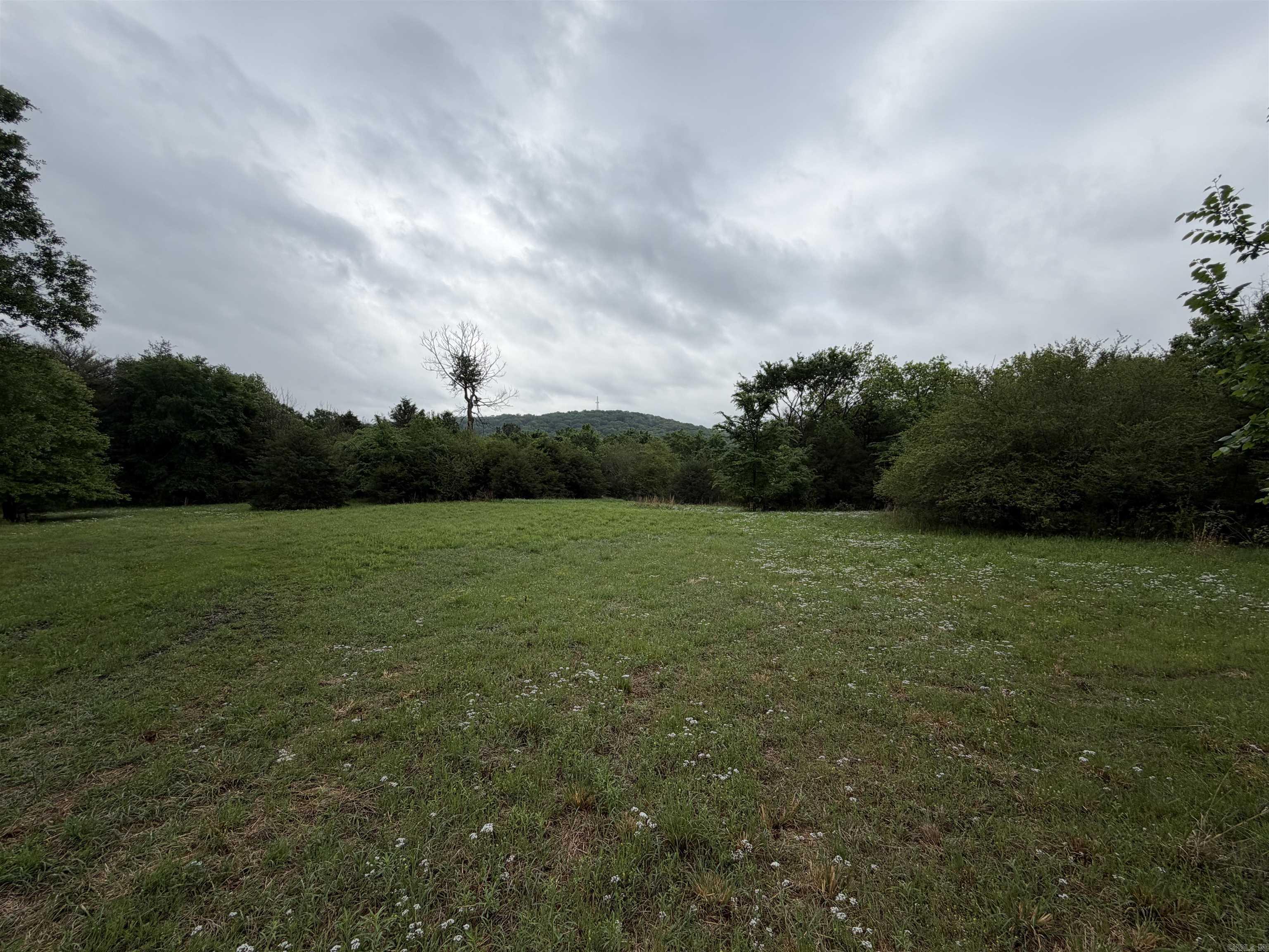 1457 N 2Nd St  Ozark, AR