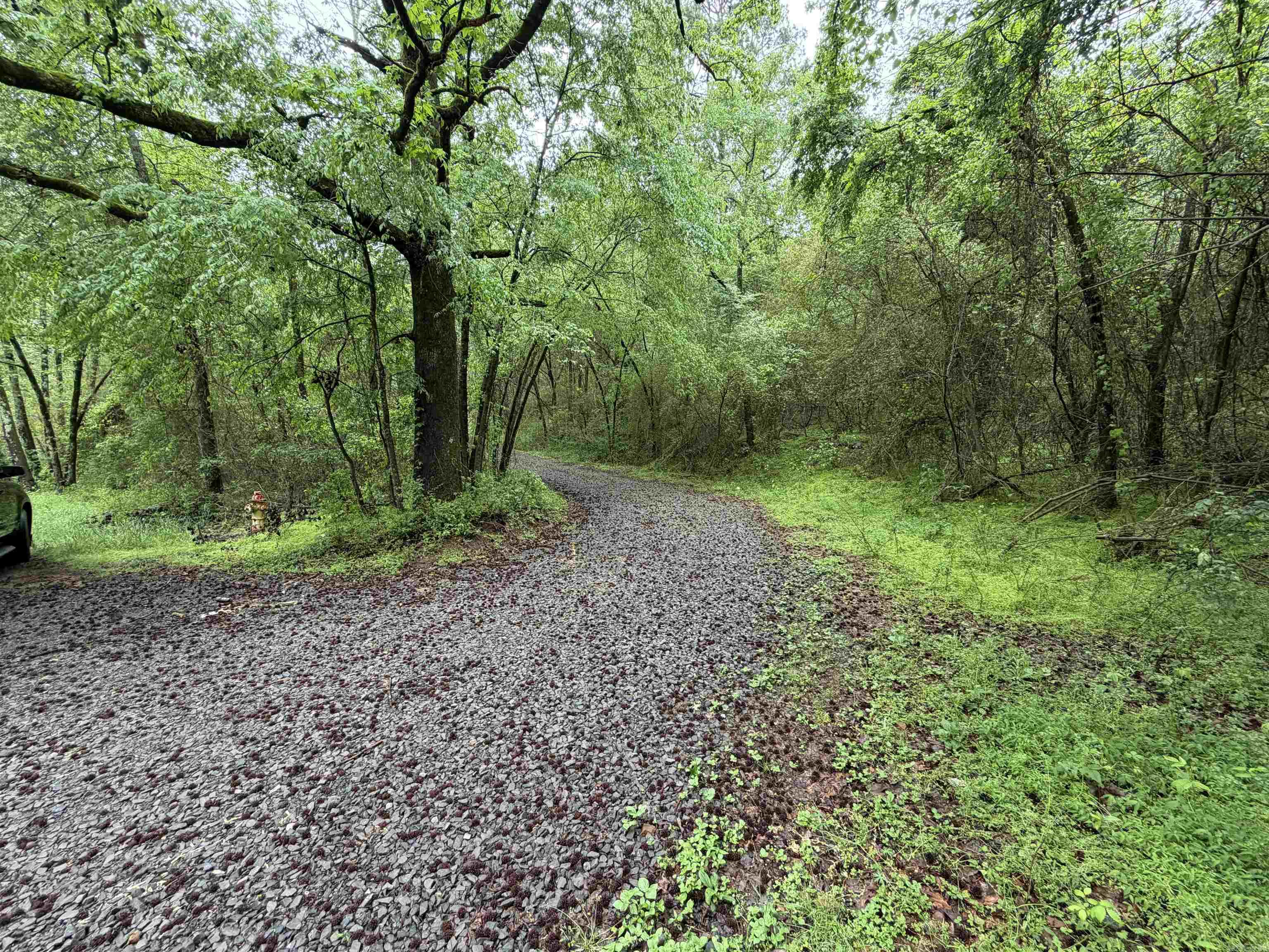 1457 N 2Nd St  Ozark, AR