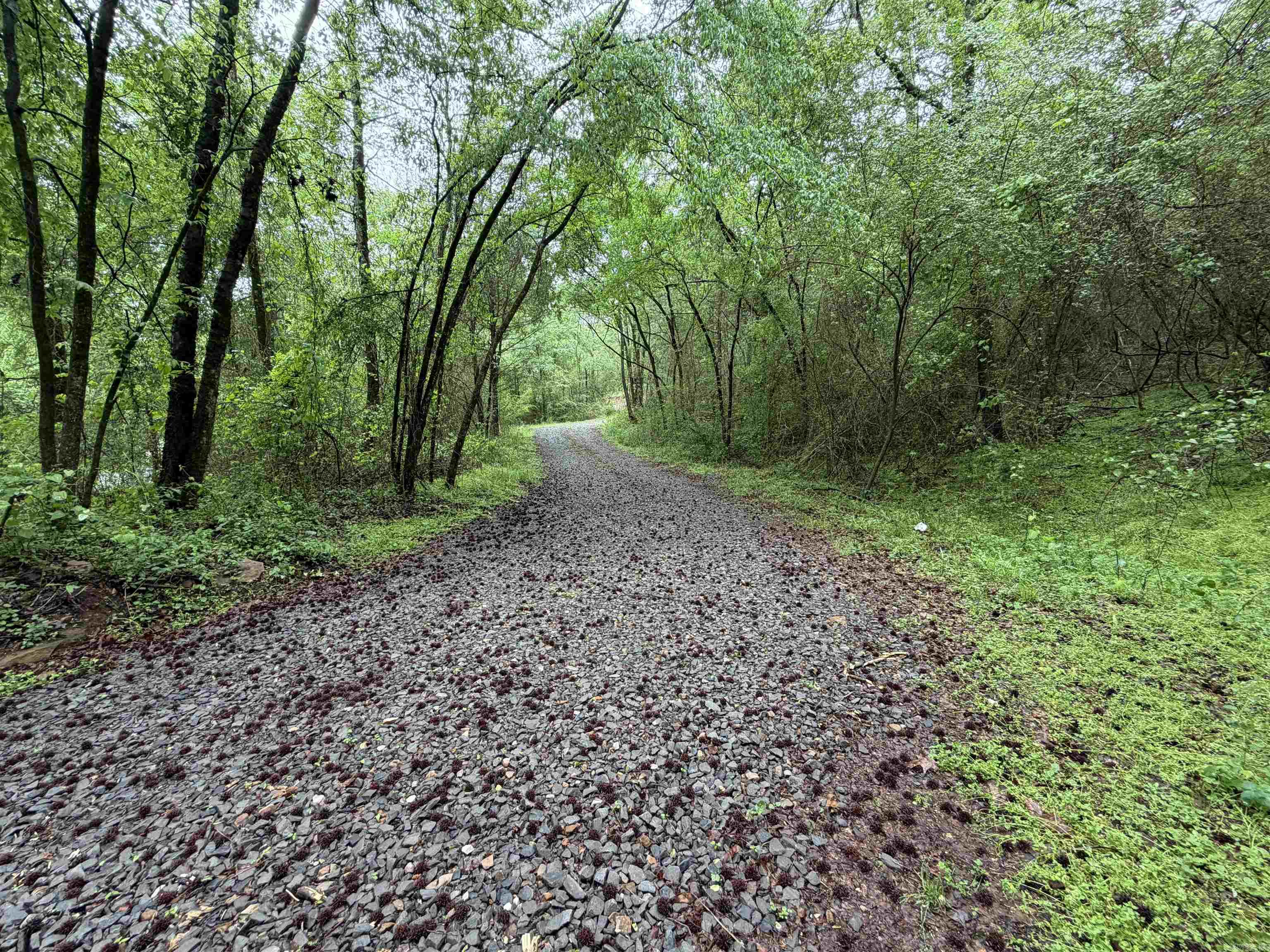 1457 N 2Nd St  Ozark, AR