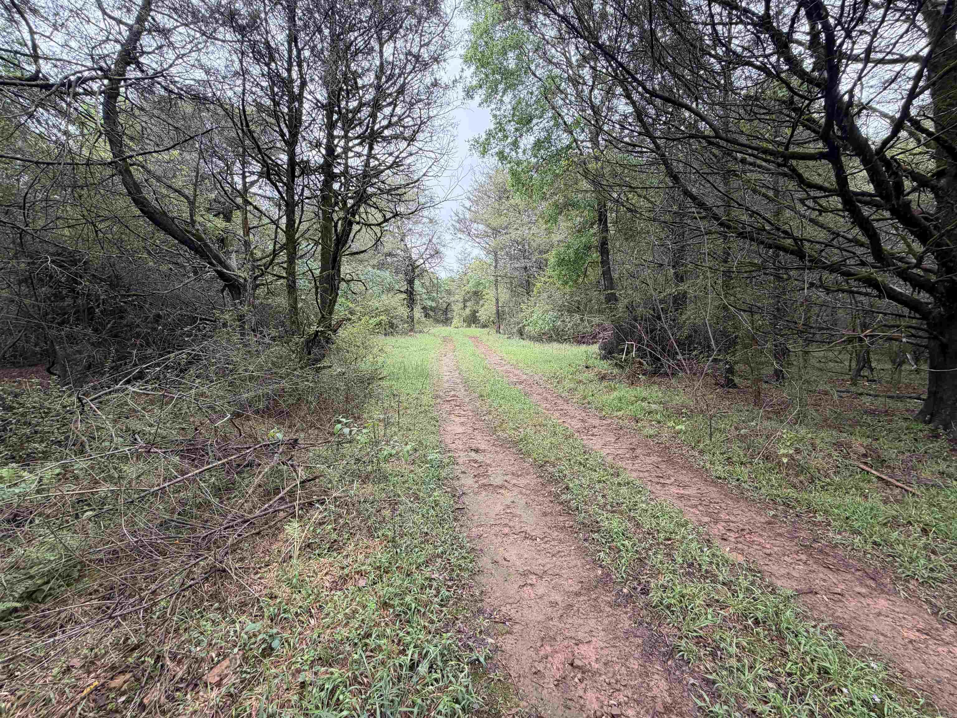 1457 N 2Nd St  Ozark, AR