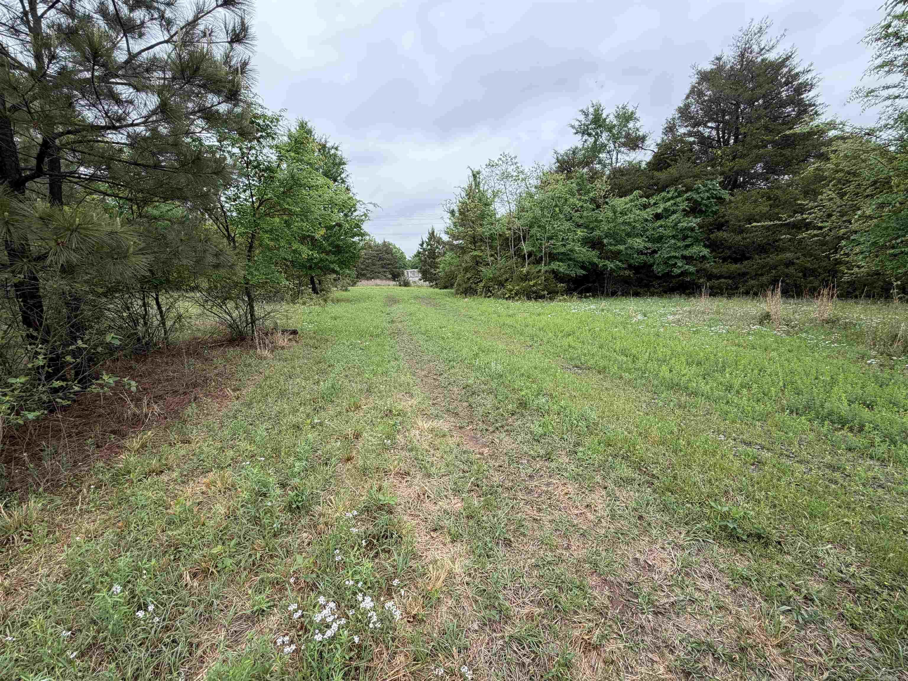 1457 N 2Nd St  Ozark, AR