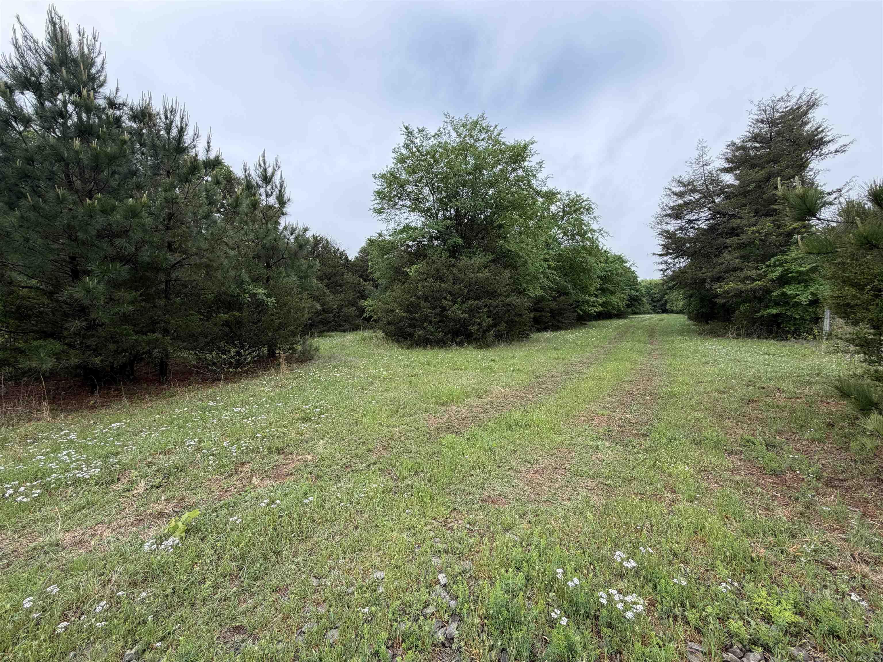 1457 N 2Nd St  Ozark, AR