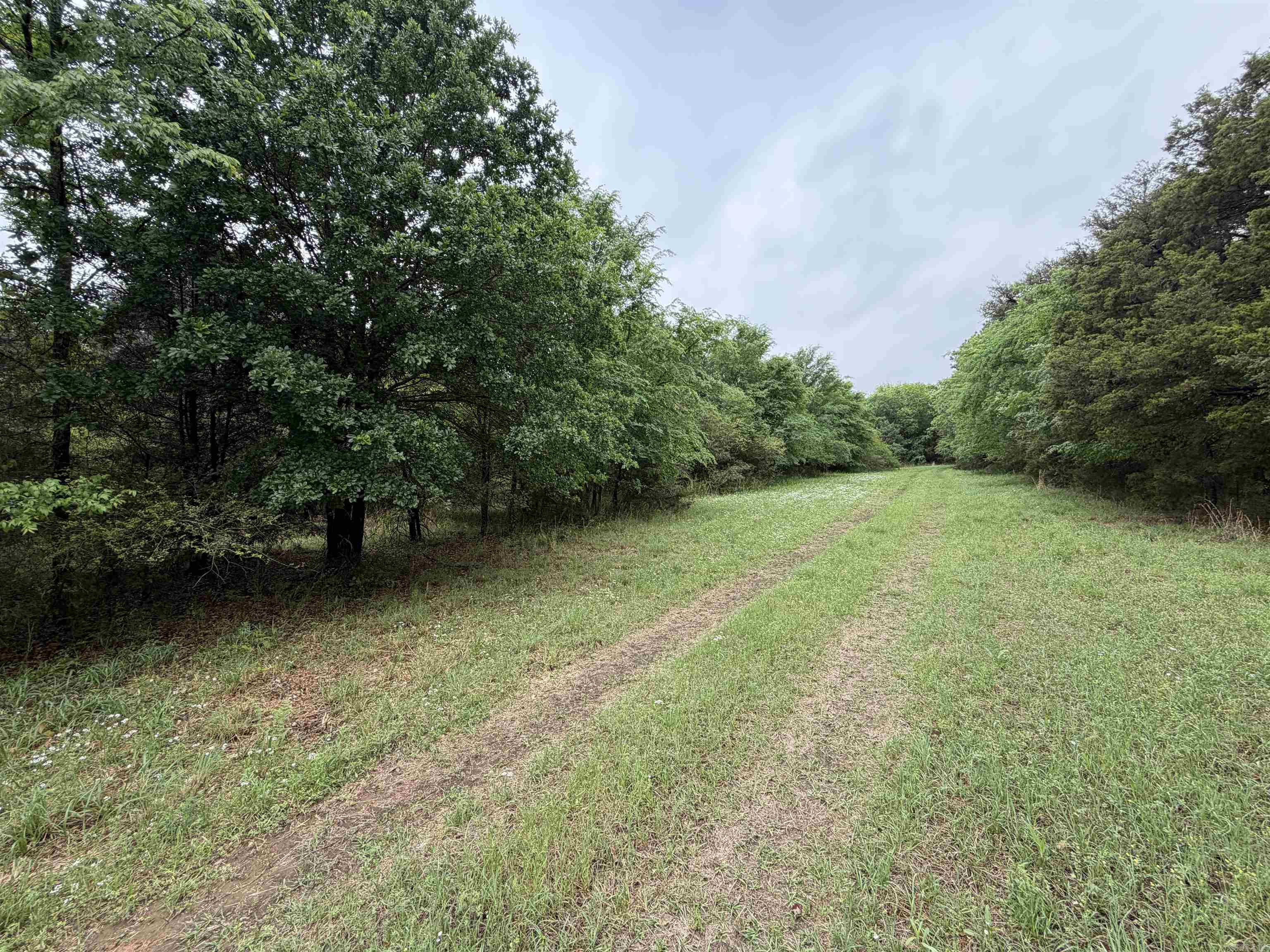 1457 N 2Nd St  Ozark, AR